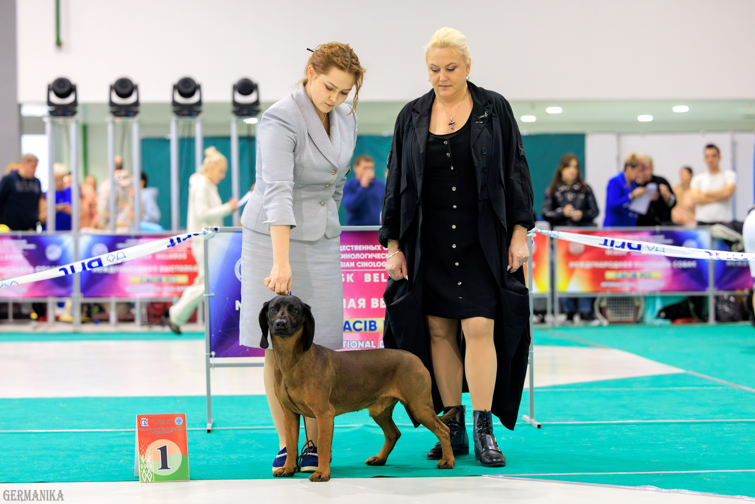 Минск 24-25.02.2024. Фотограф-анималист Юлия Германика