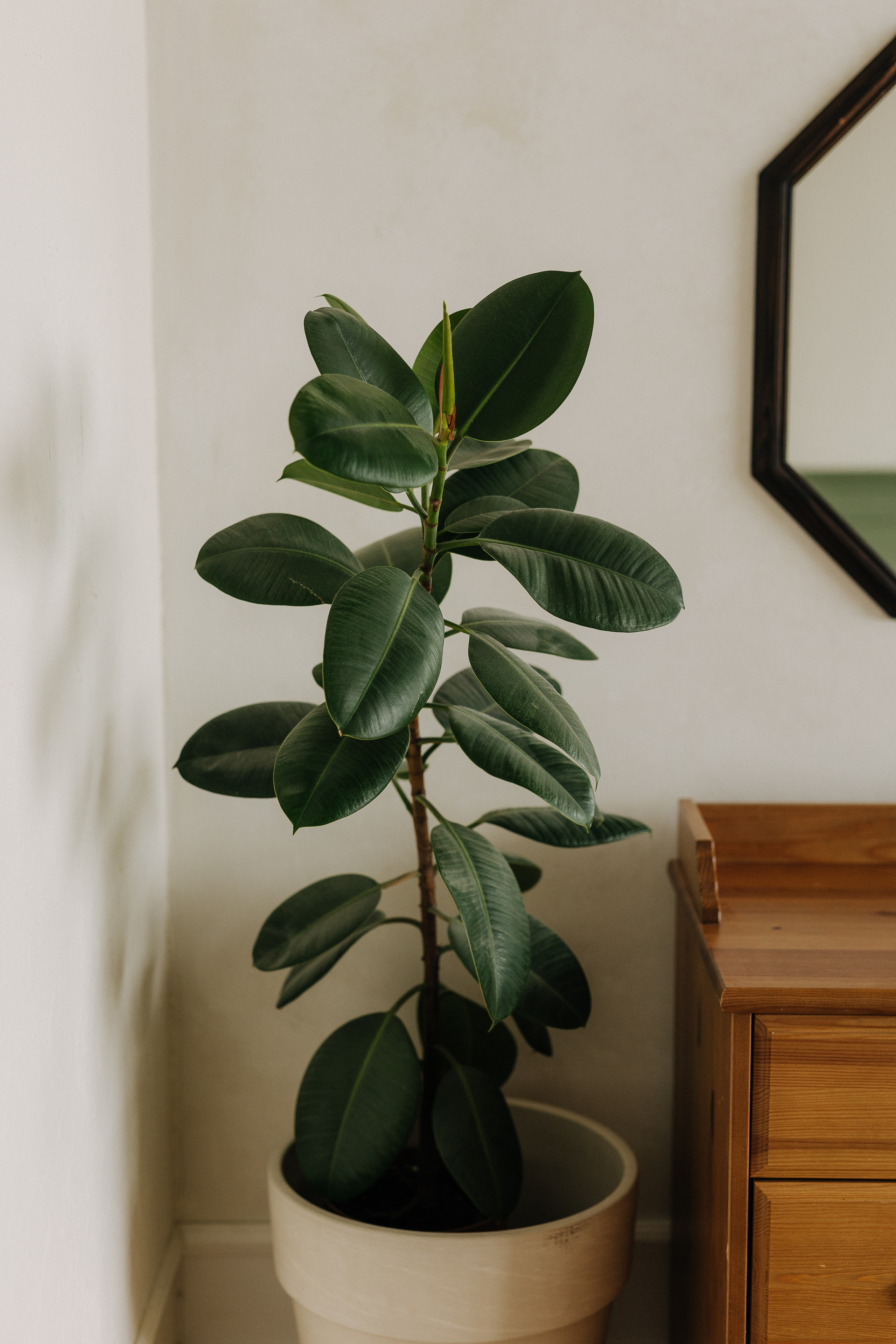 Дача-лофт, Дача. Свадебный семейный и детский фотограф в Краснодаре Карина Федоровская