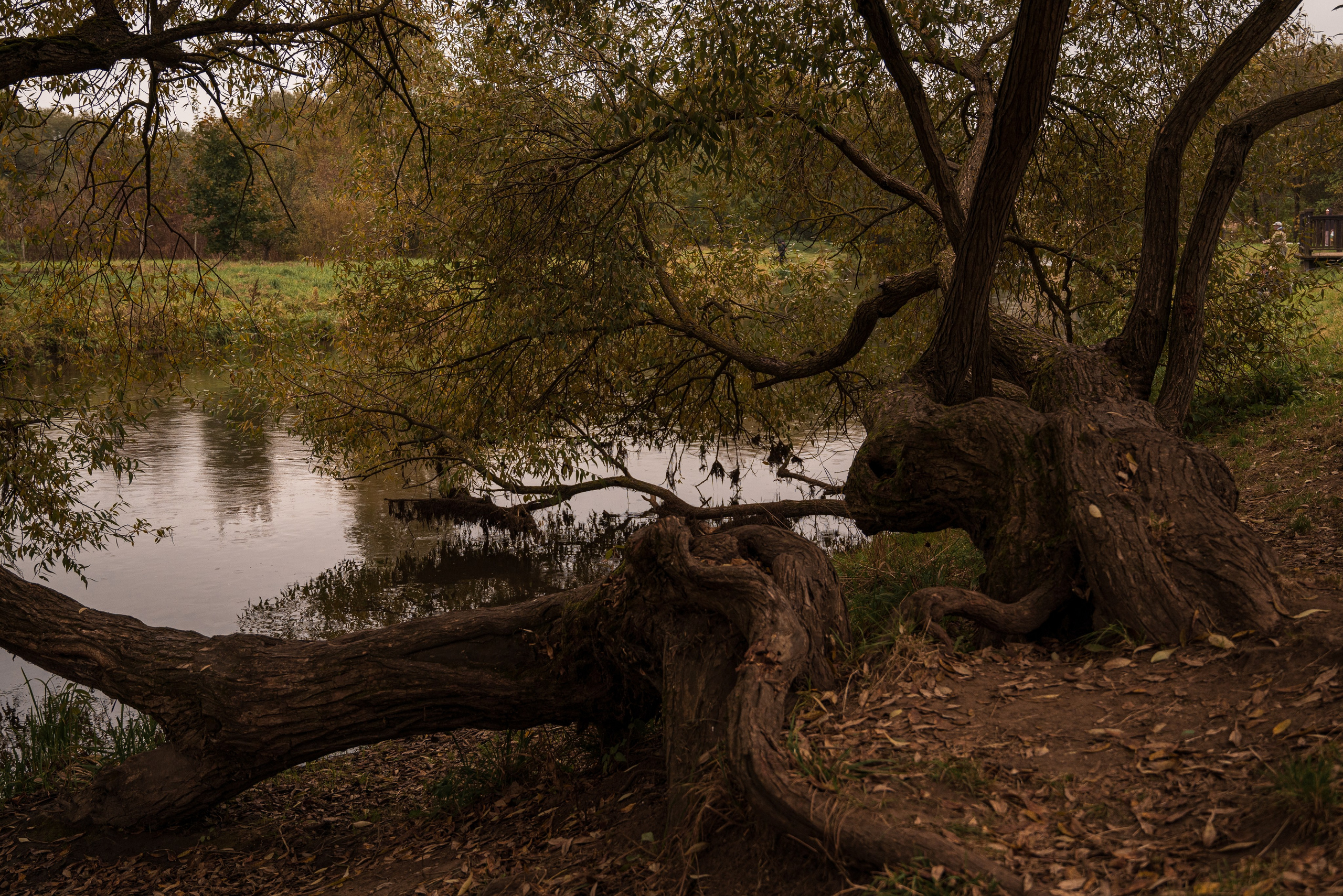 Места. Фотограф в Минске Дарья Кончакова