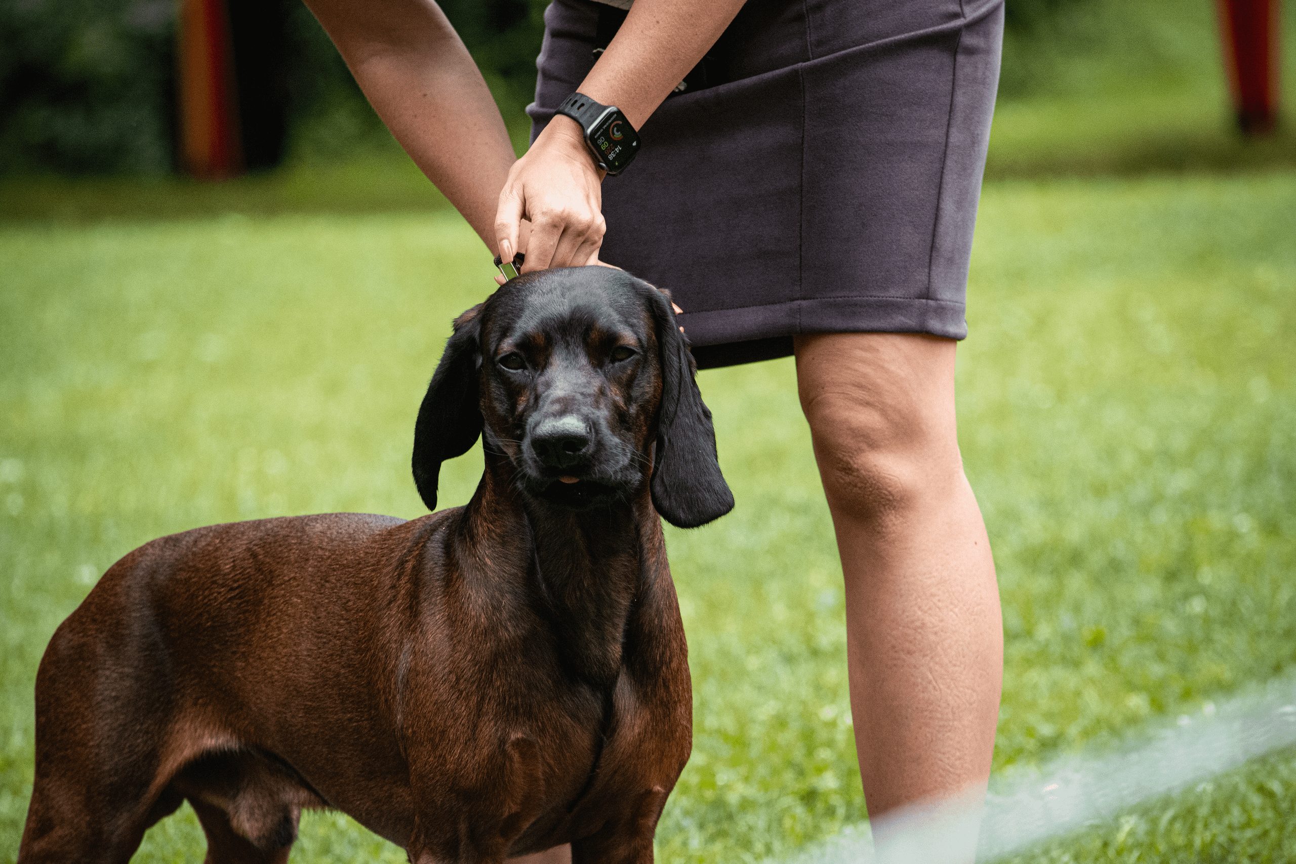 Animals. Фотограф Евгения Саботаж в г. Москва