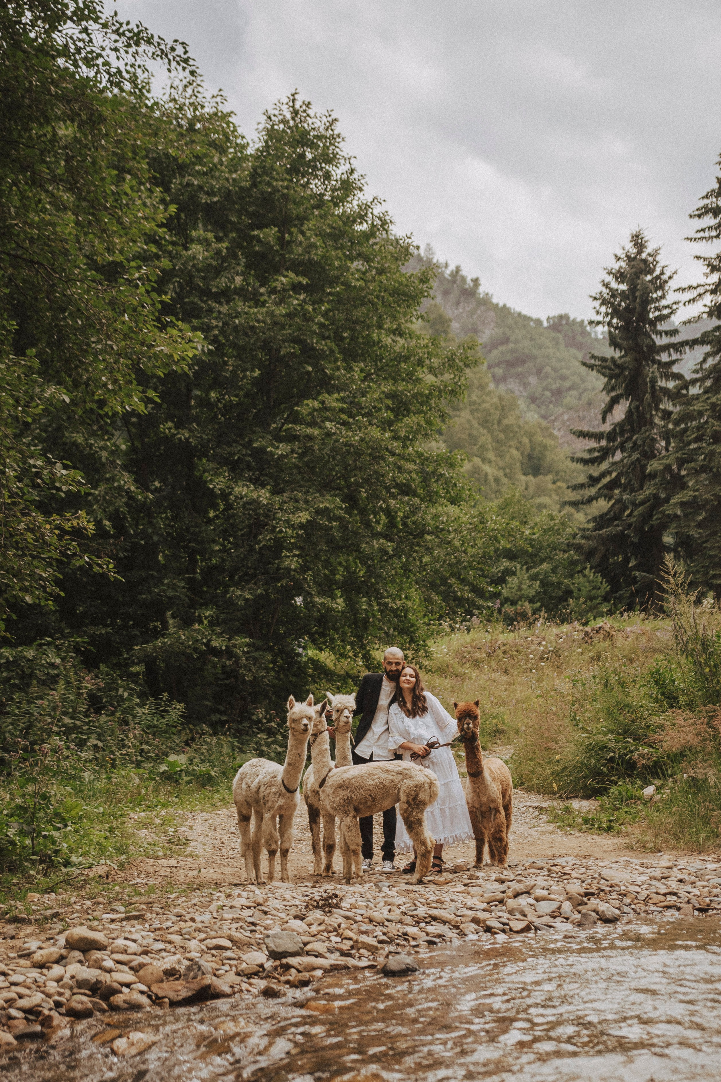 TIGRAN & VICTORIA | KISLOVODSK. Фотограф Настя Конник | Пятигорск | Эльбрус | Домбай | Архыз