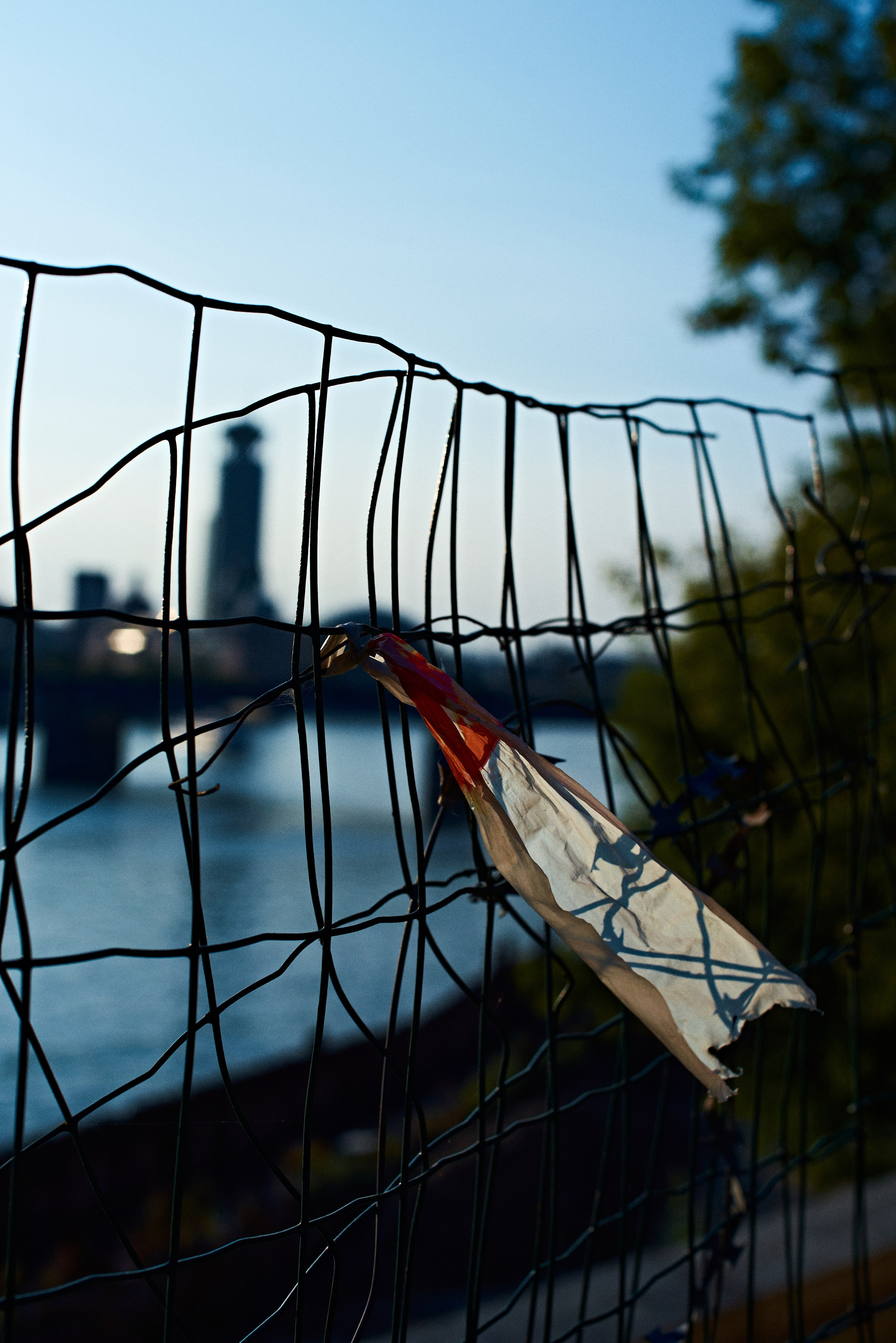 2024. Марфин. Фотограф