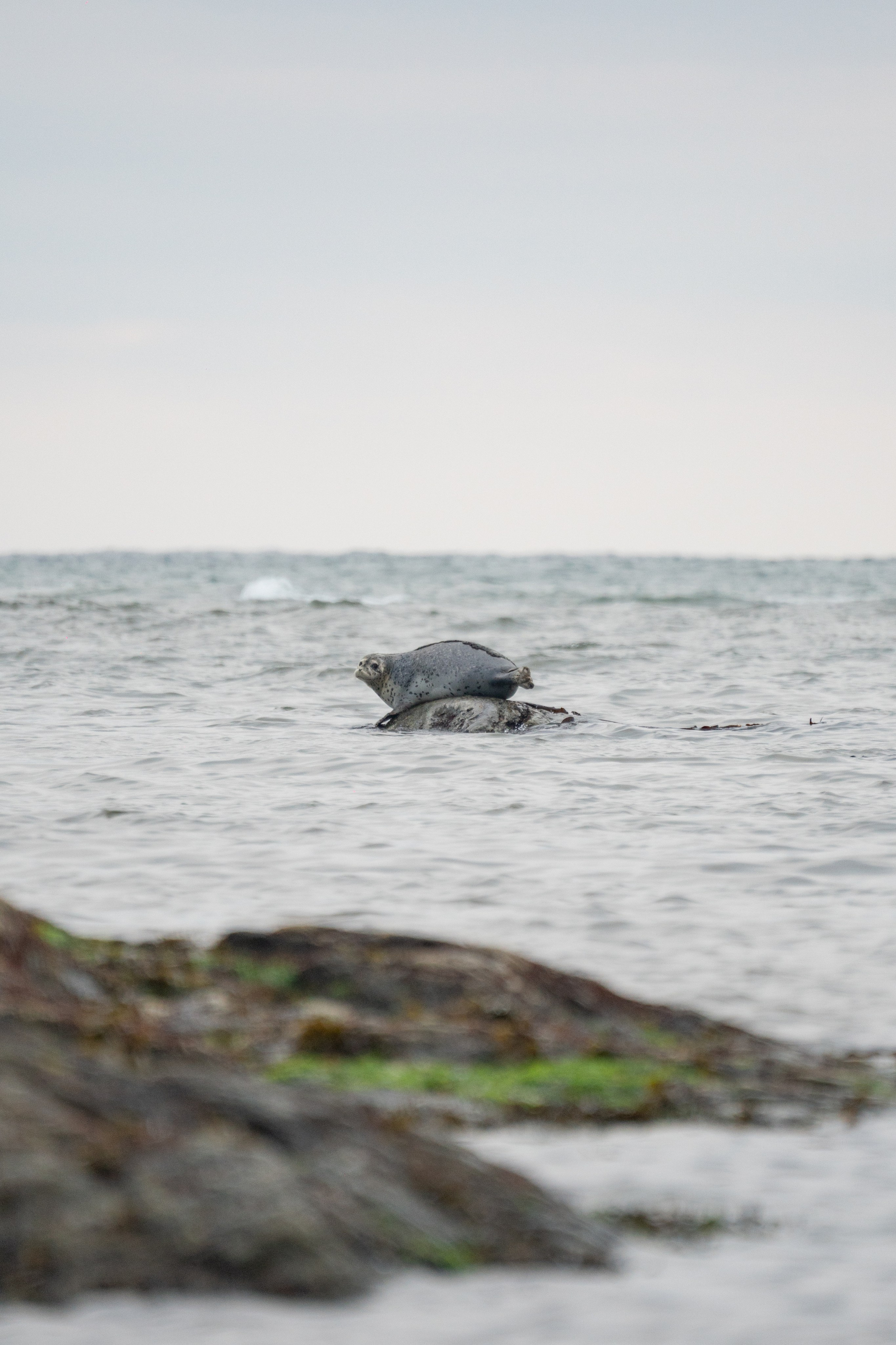 Сахалин. Gusarov Travel Photography