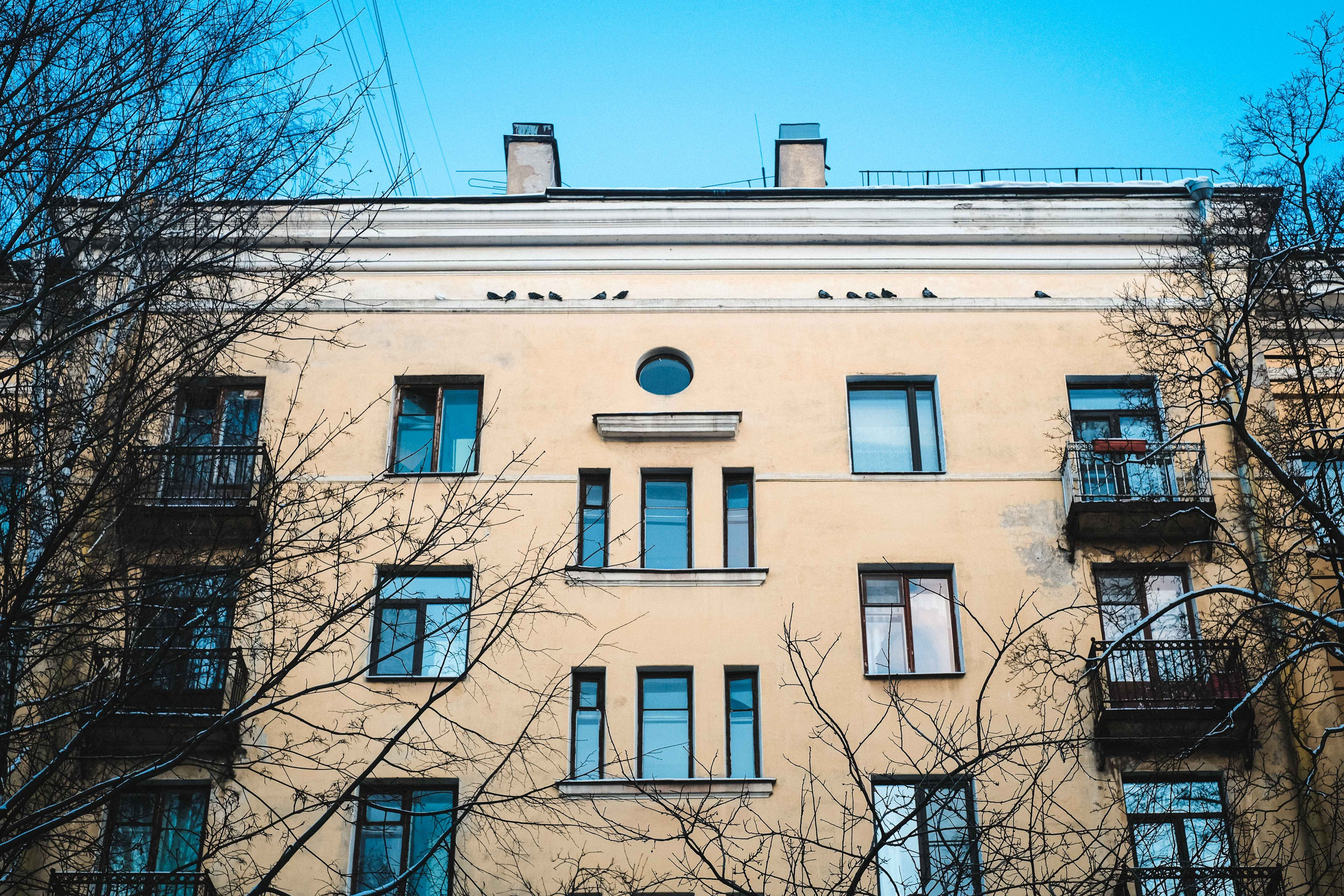 2021.12. Фотограф Алексей Алексеев