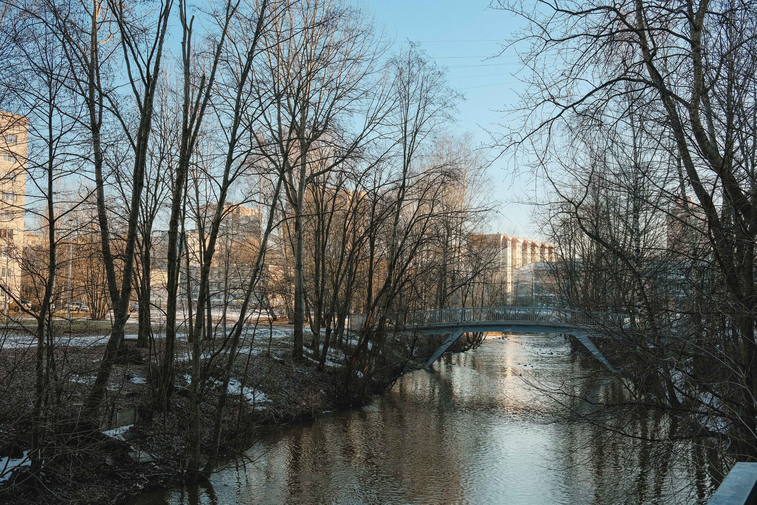 2023.01. Фотограф Алексей Алексеев
