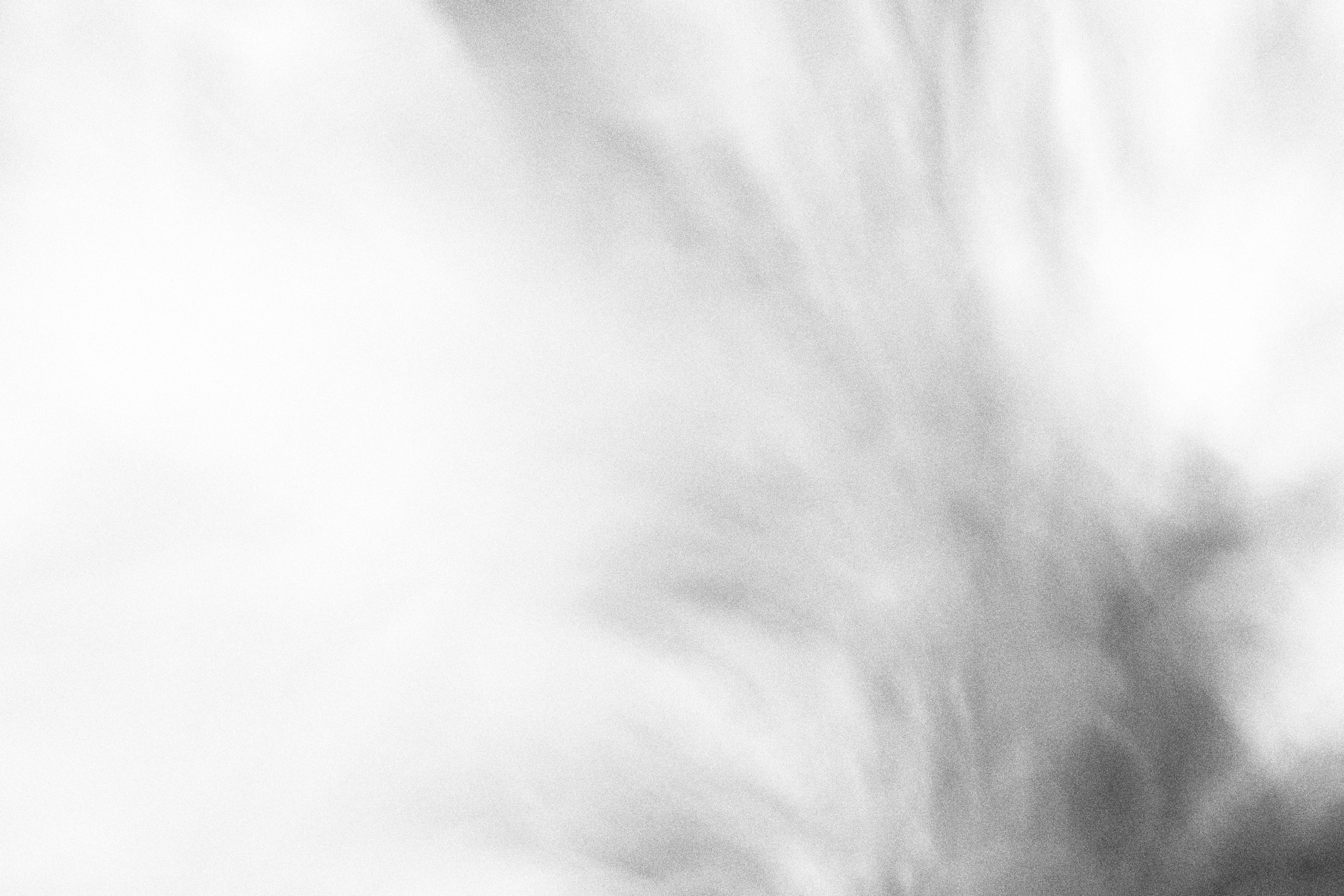 Внутривенные сны (2023)