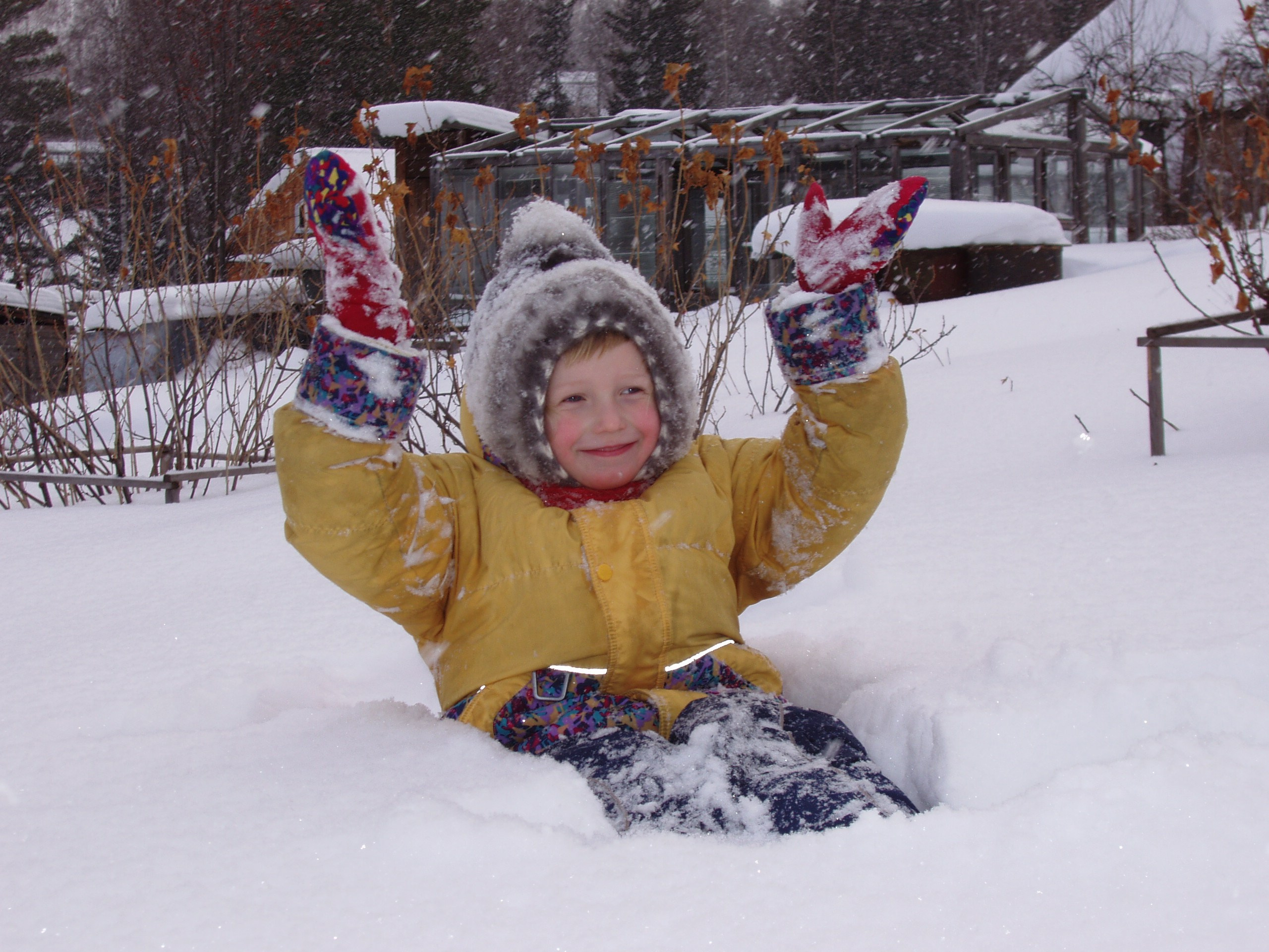 У Шостак на даче 16.01.2005. Семейный, Свадебный фотограф СПБ Питер— Романова Екатерина
