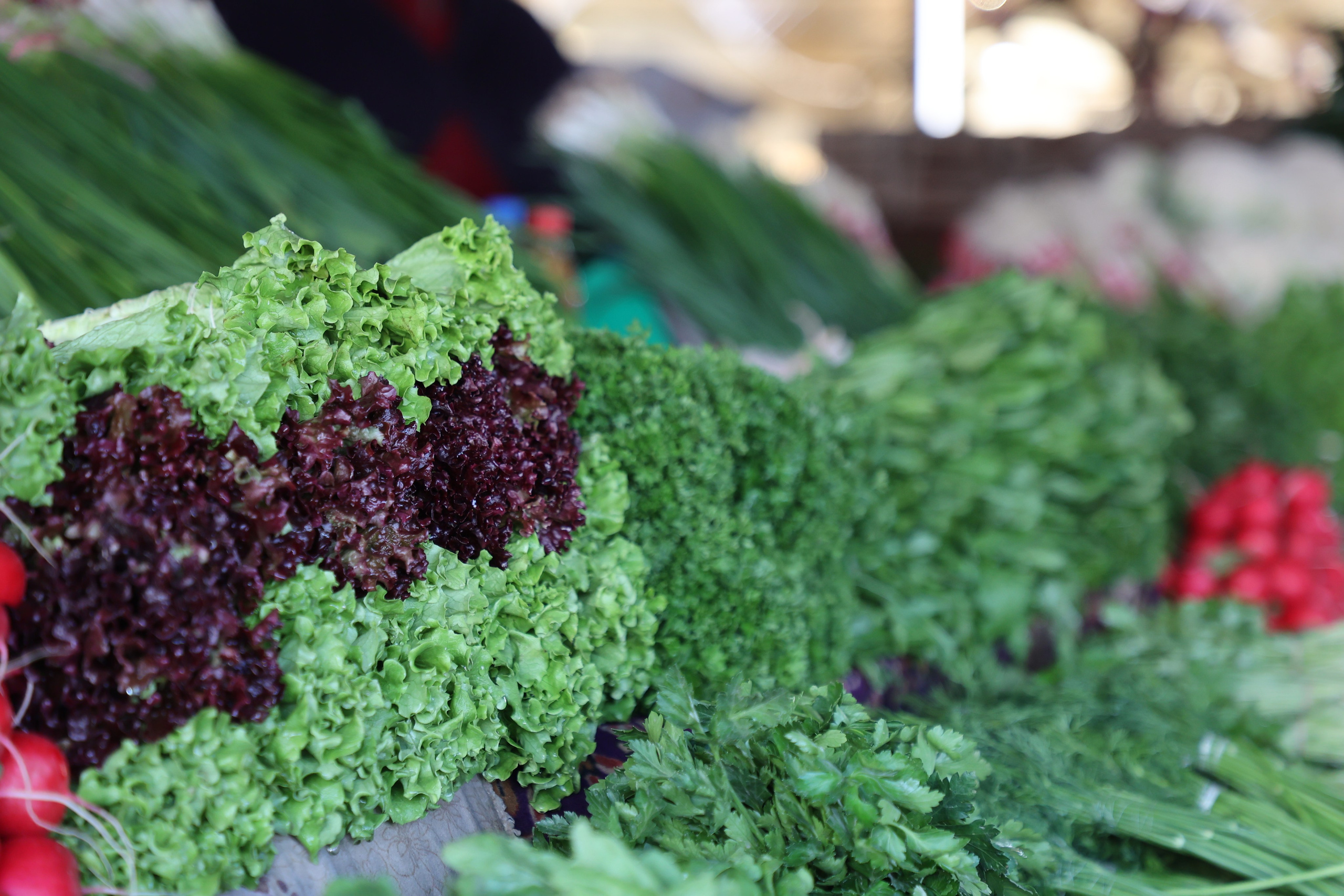 Tashkent, Uzbekistan. Andrey Filippov Photographer