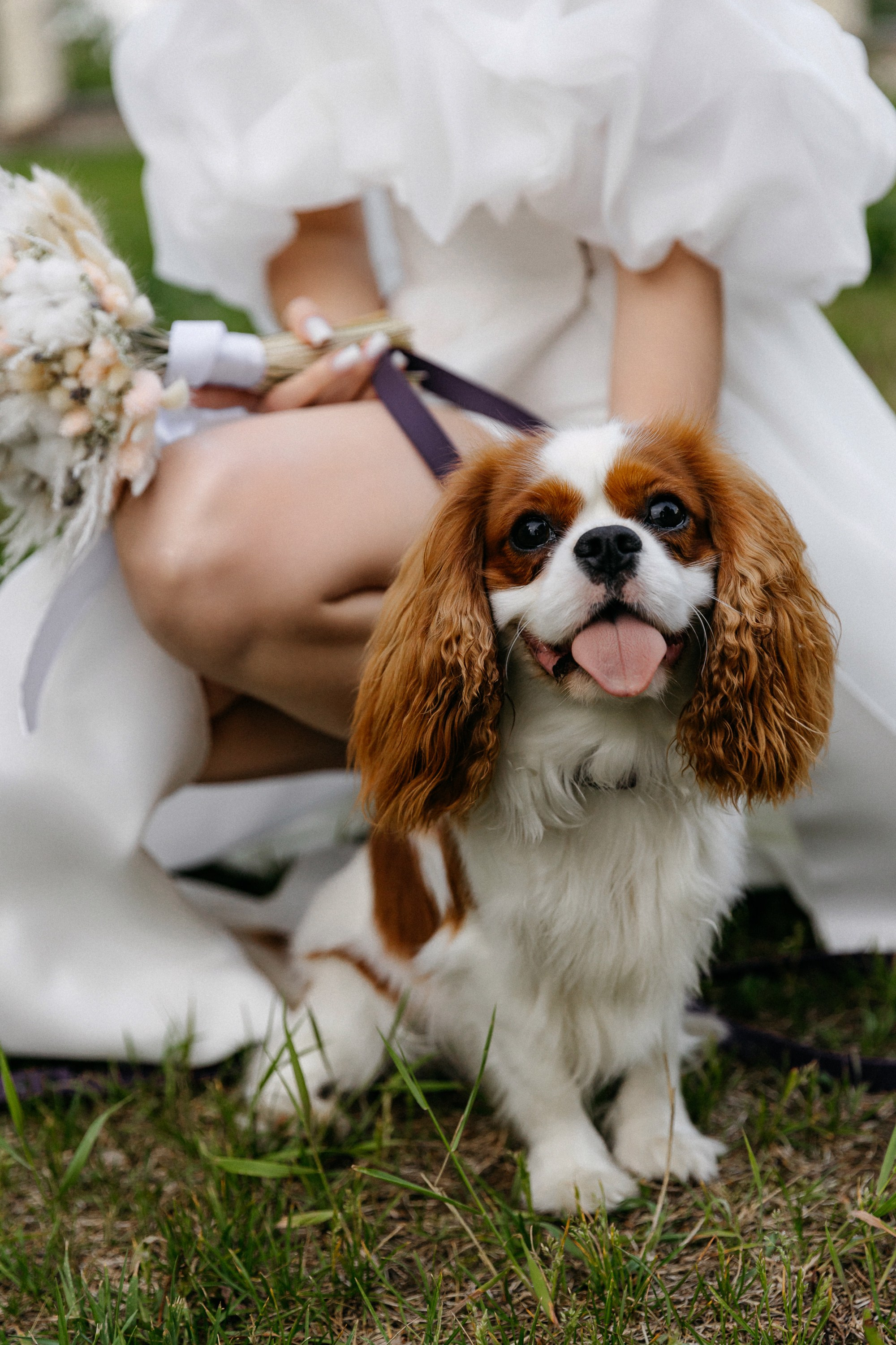Свадебный фотограф Дмитрий Воробьев Ярославль