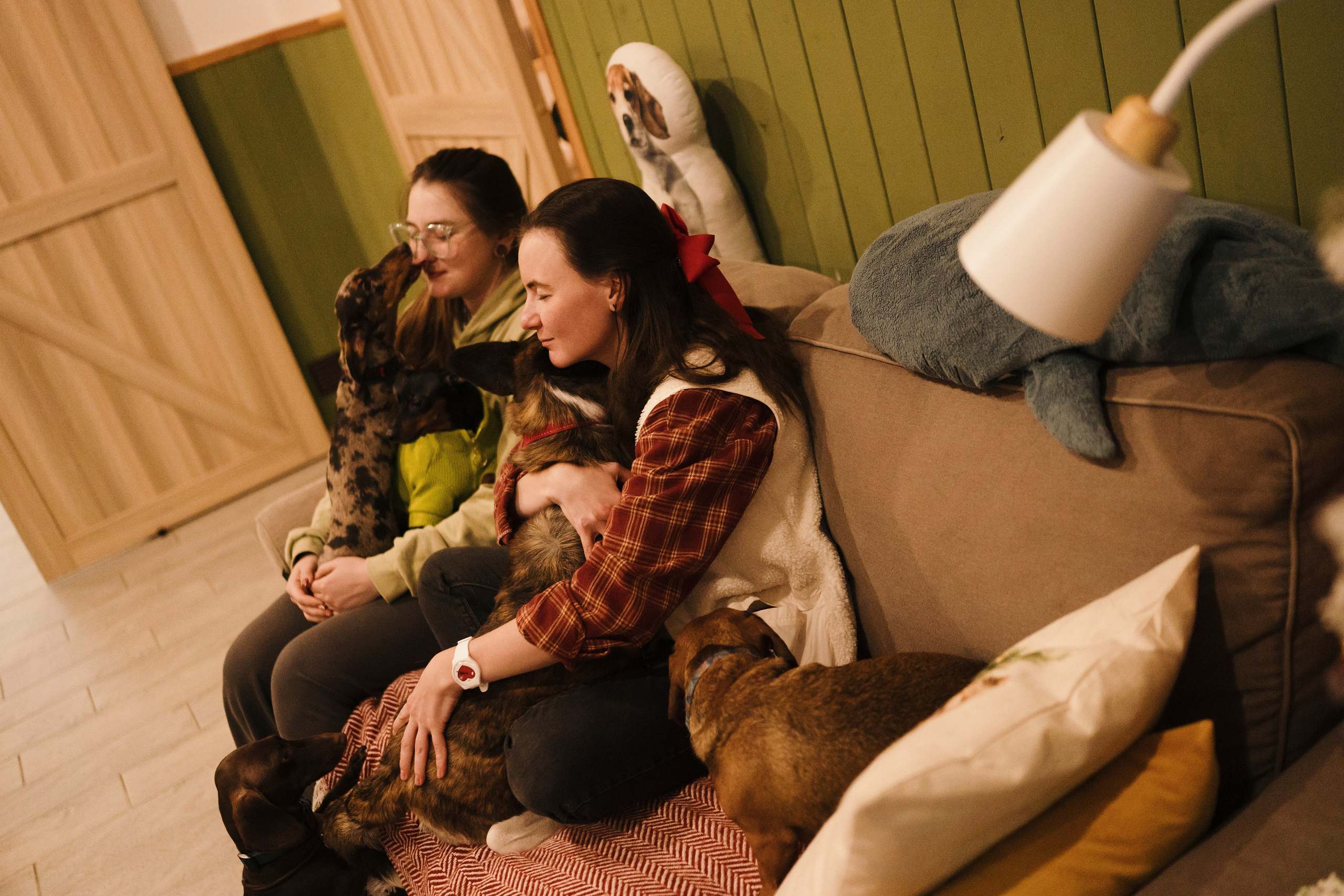 Зоогостиница Мишка. Фотограф- анималист Александра Матвеева