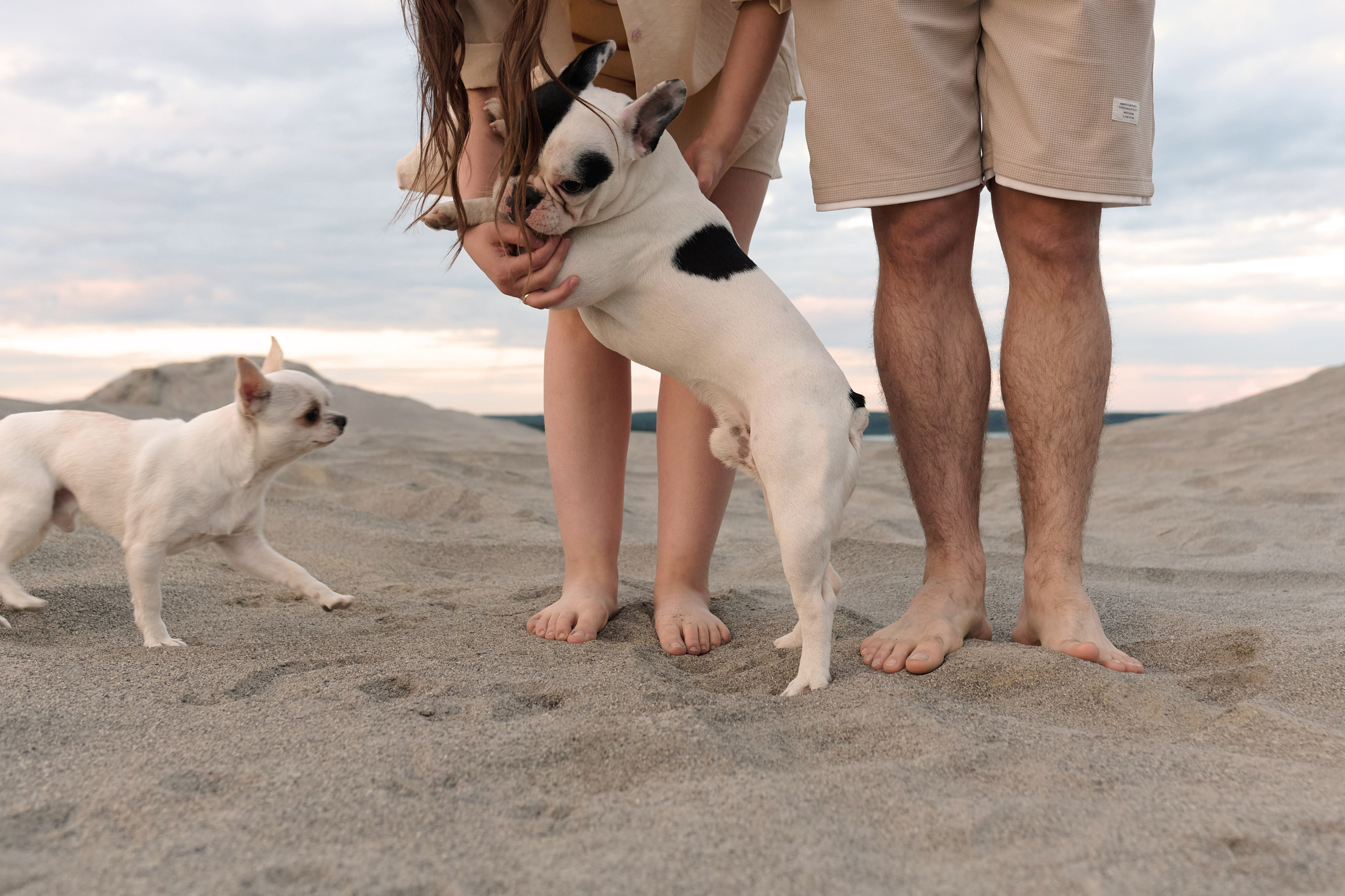 Пески. Свадебный фотограф Екатеринбург/Челябинск — Любовь Волохова