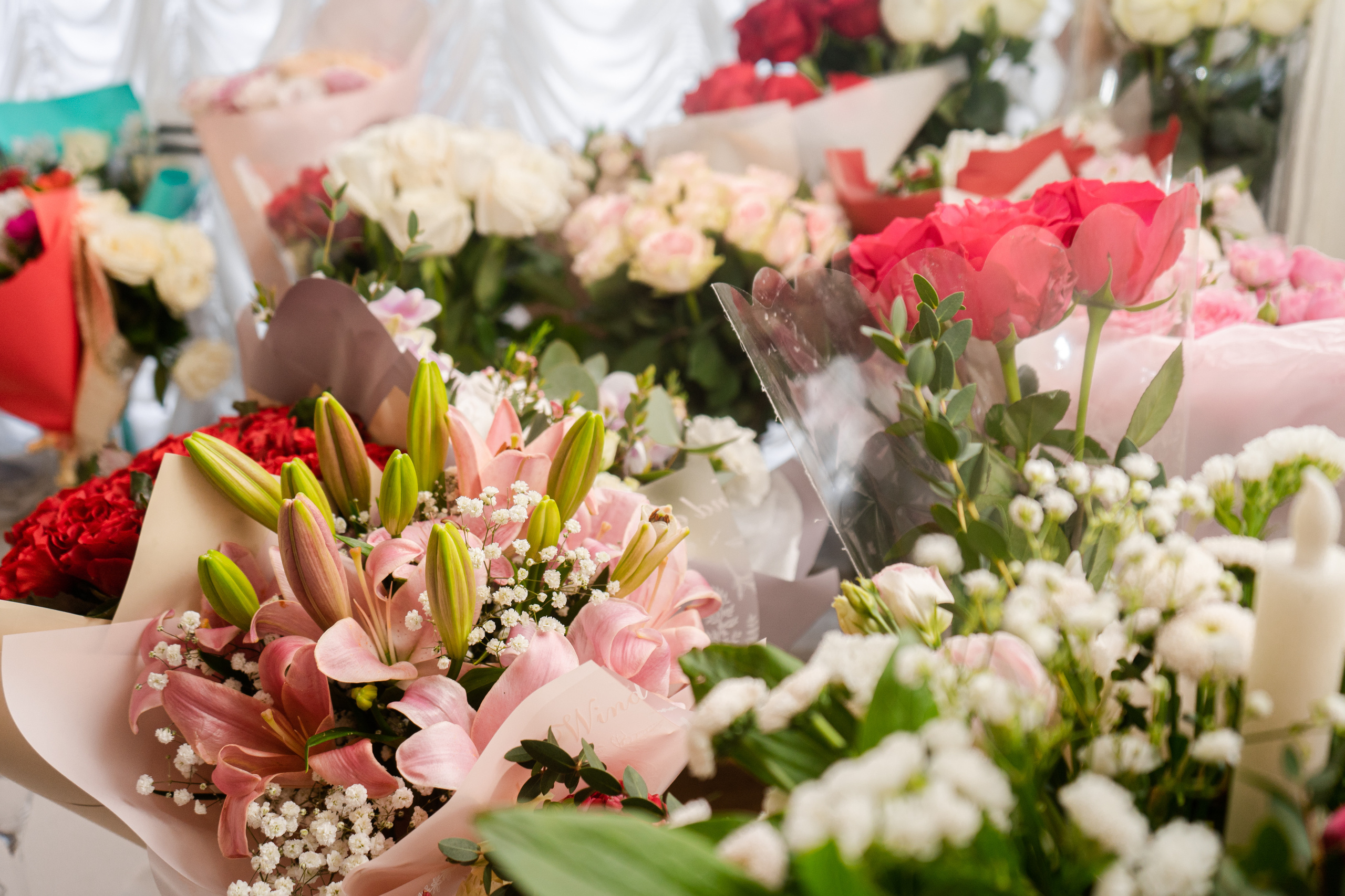 Андрей и Наталья. Фотограф Дмитриченко Дмитрий | Санкт-Петербург