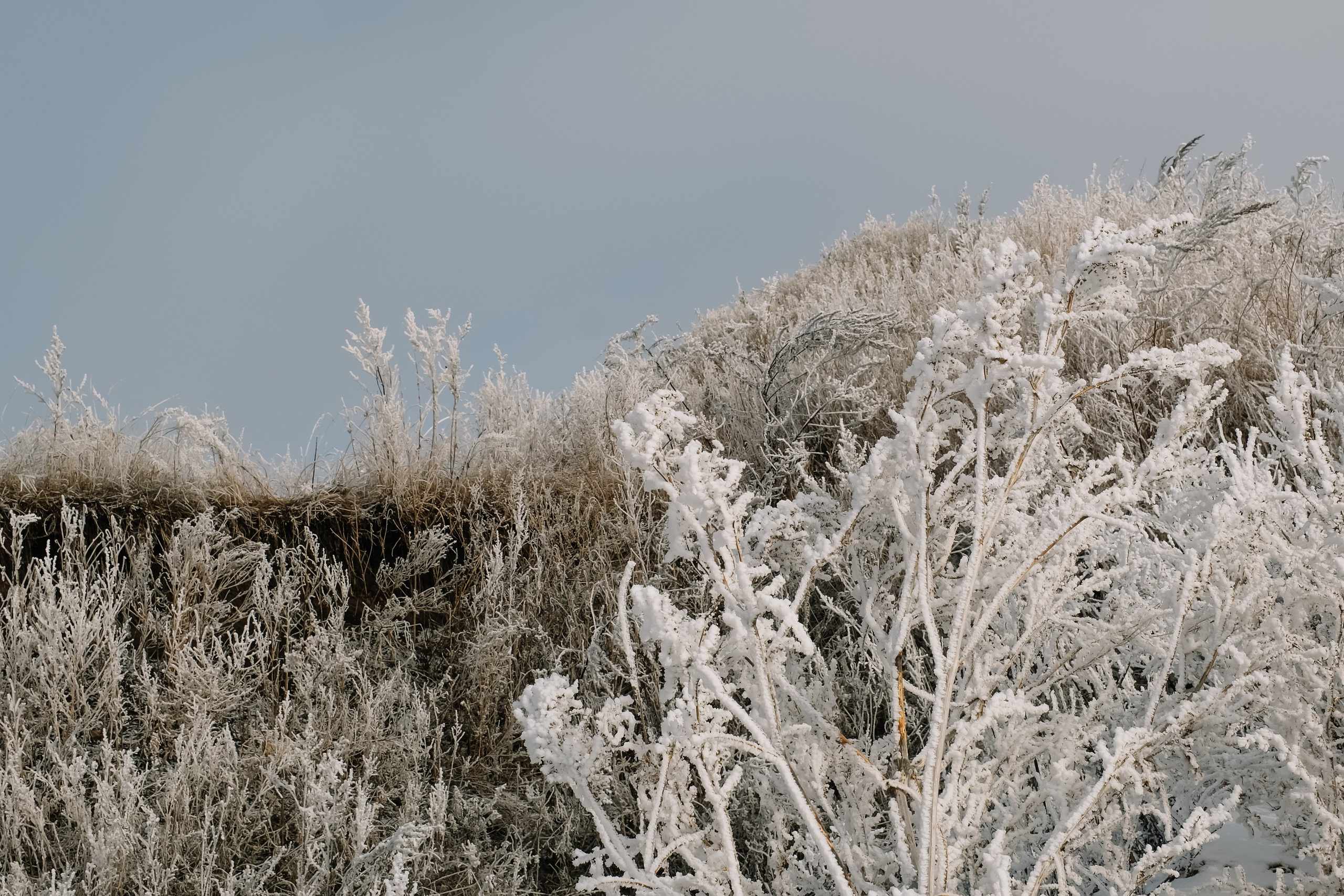 Девушка февраль. Привет! Меня зовут Дарья и я фотограф/видеограф из Ульяновска
