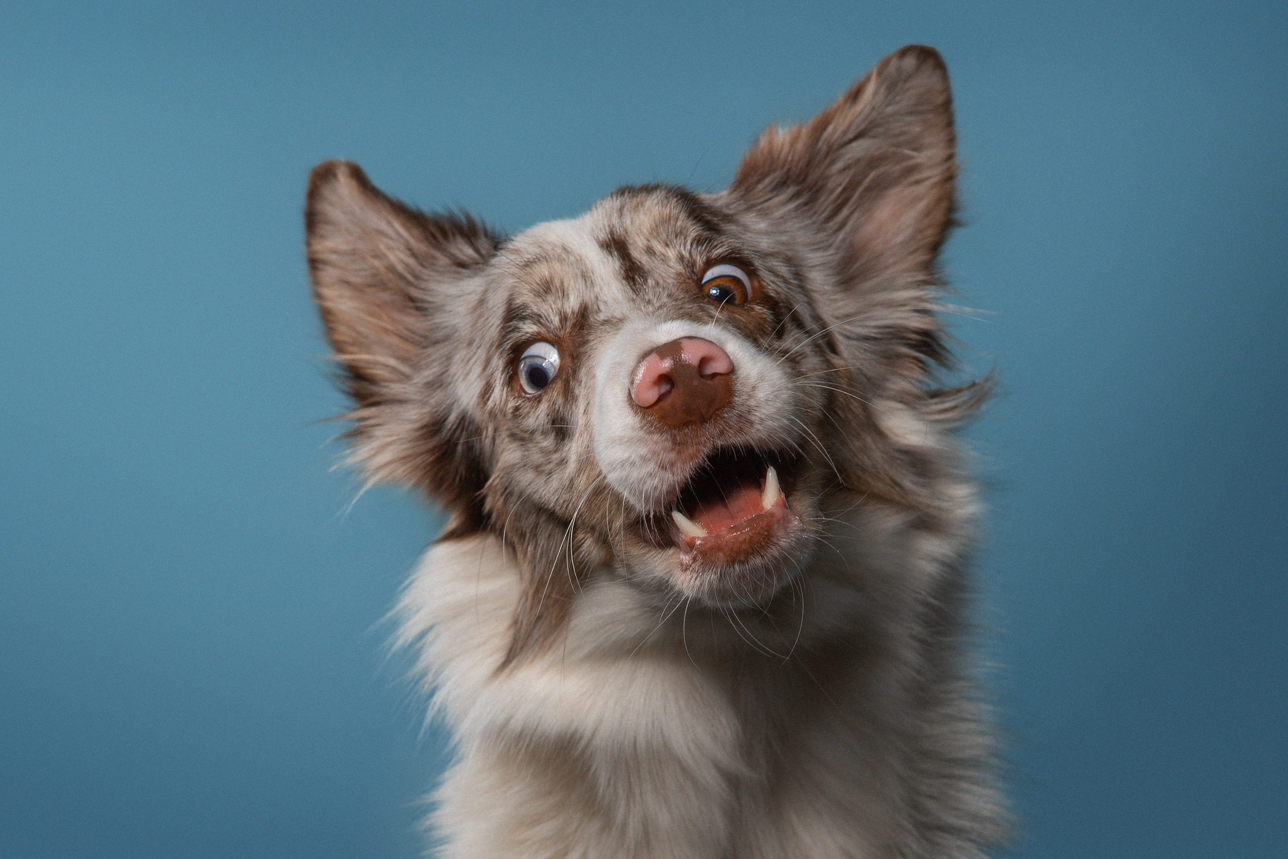 Фотодень в Нижнем Новгороде. Фотограф Анна Тюрина