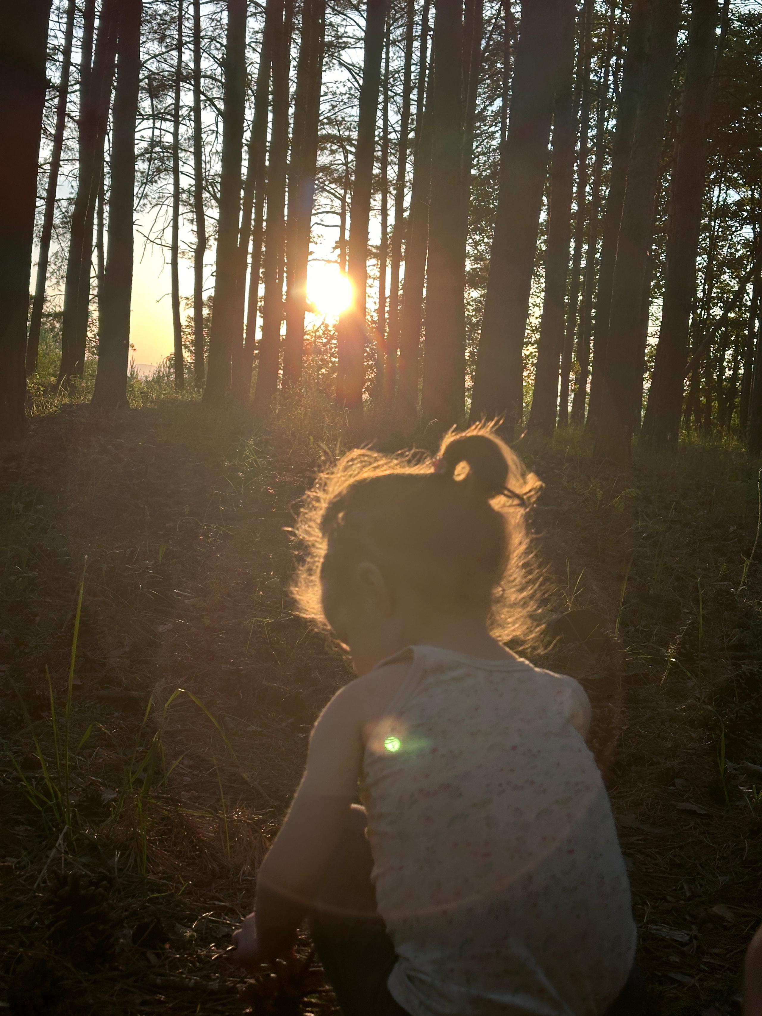 Дети. Смотри, красота!