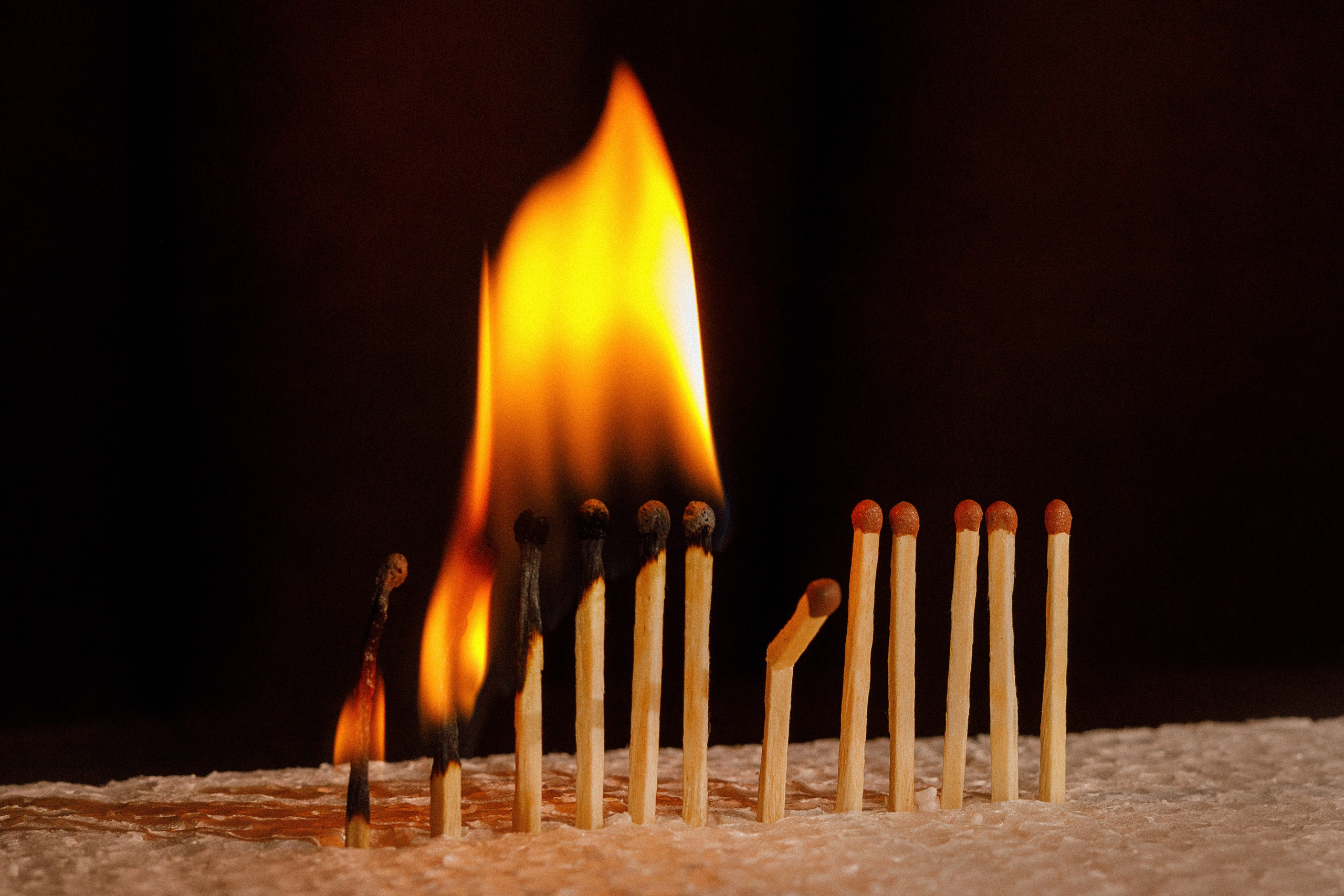 Проект «366»|2024|Фото каждый день. LENA GRACE photographer ||ЛЕНА ГРЭЙС фотограф