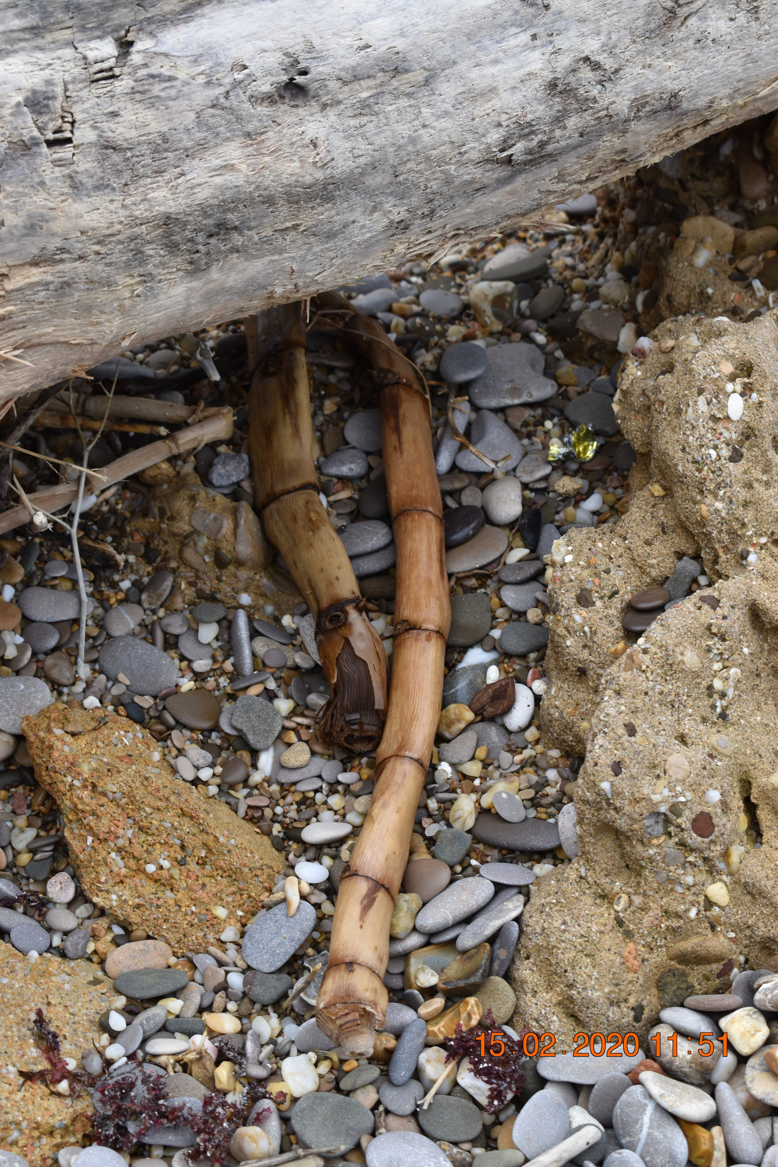 Крым, зарисовки. Созерцатель. фотографирую что тронуло и впечатлило. самарская область