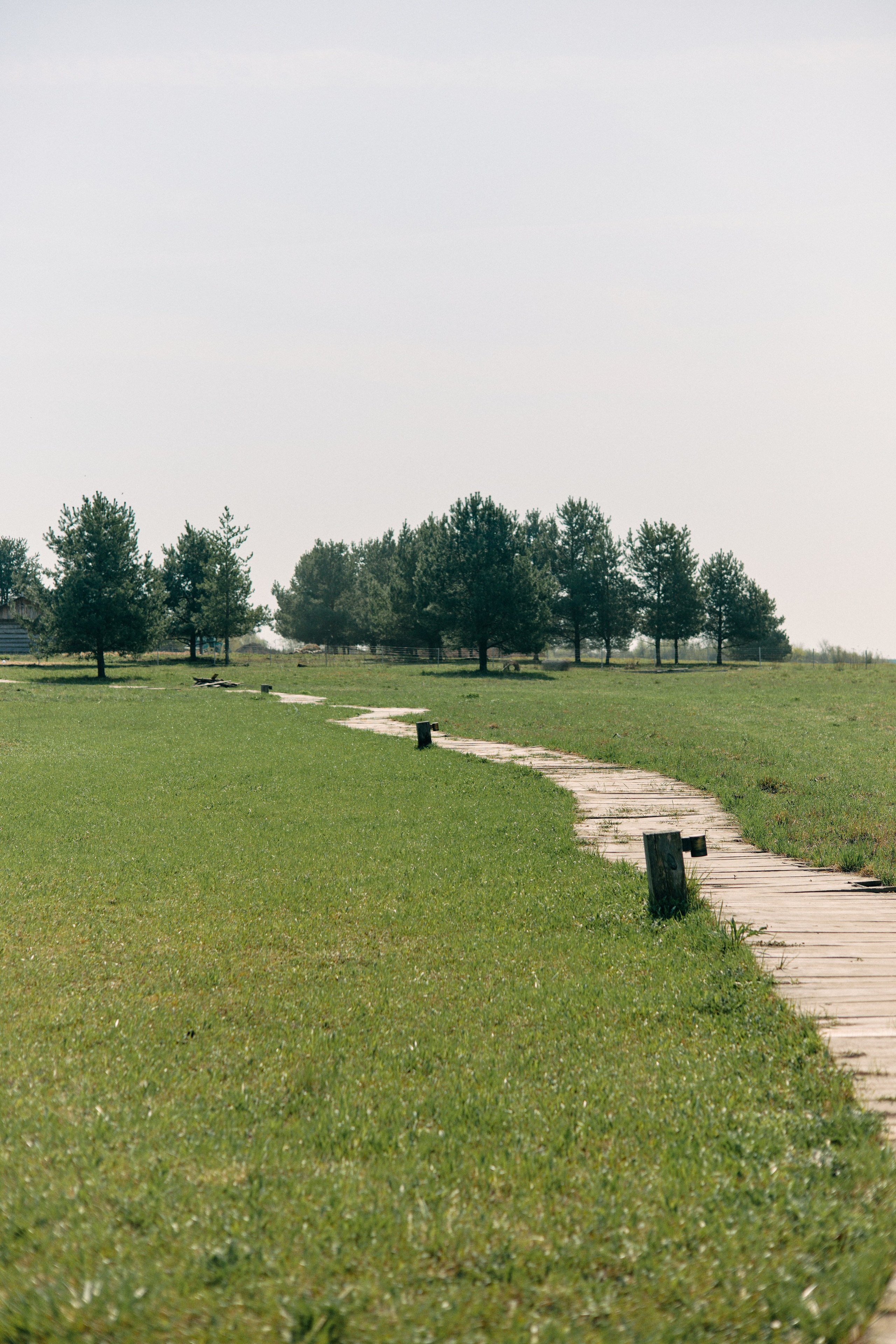 Бутик-отель Поле летом. Профессиональный Фотограф во Владимире, в Москве и в Суздале — Полина Романычева