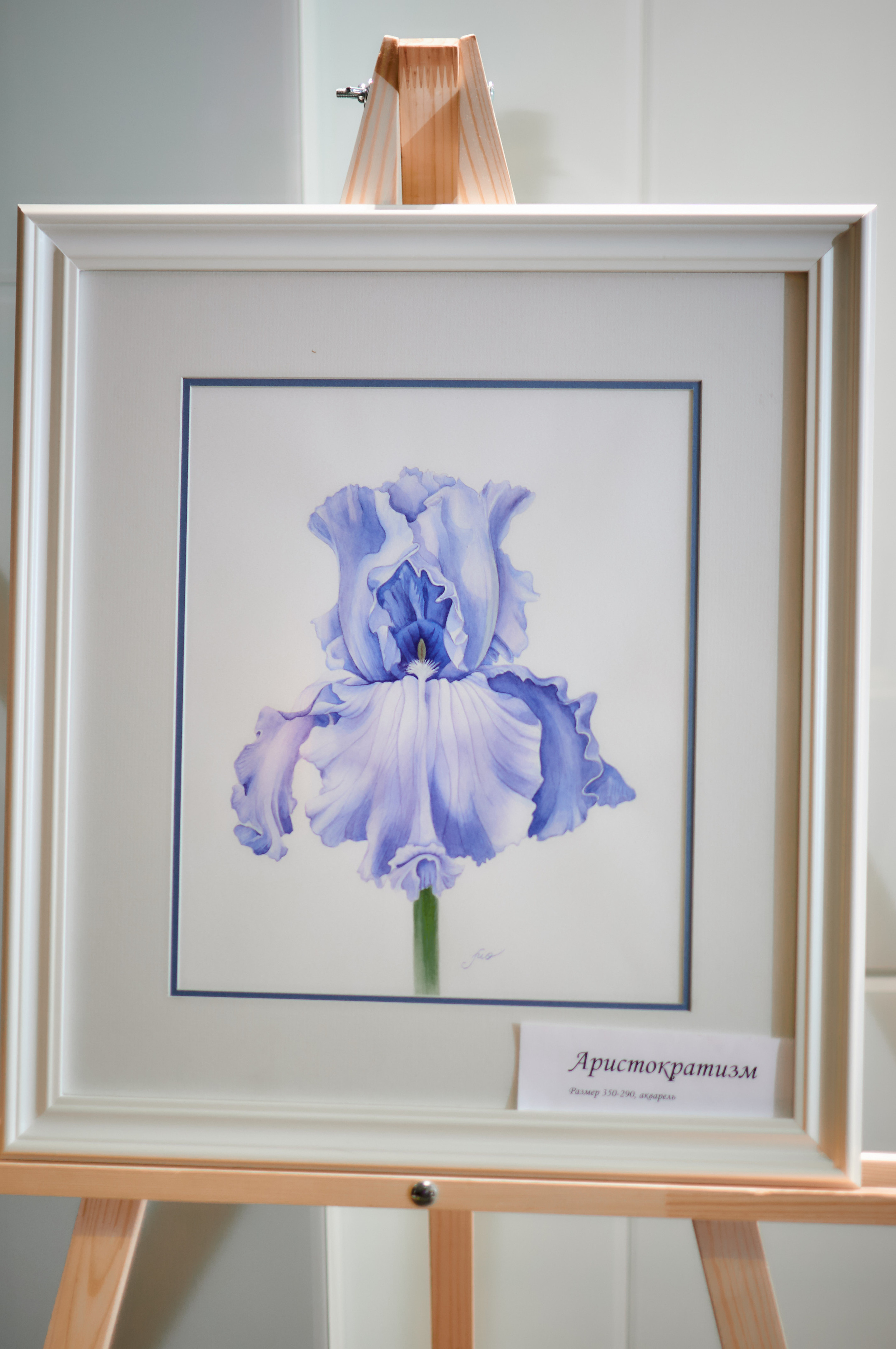 Выставка картин Ольги Масловой. Фотограф в Екатеринбурге Наталия Нарышкина, бизнес контент, танец