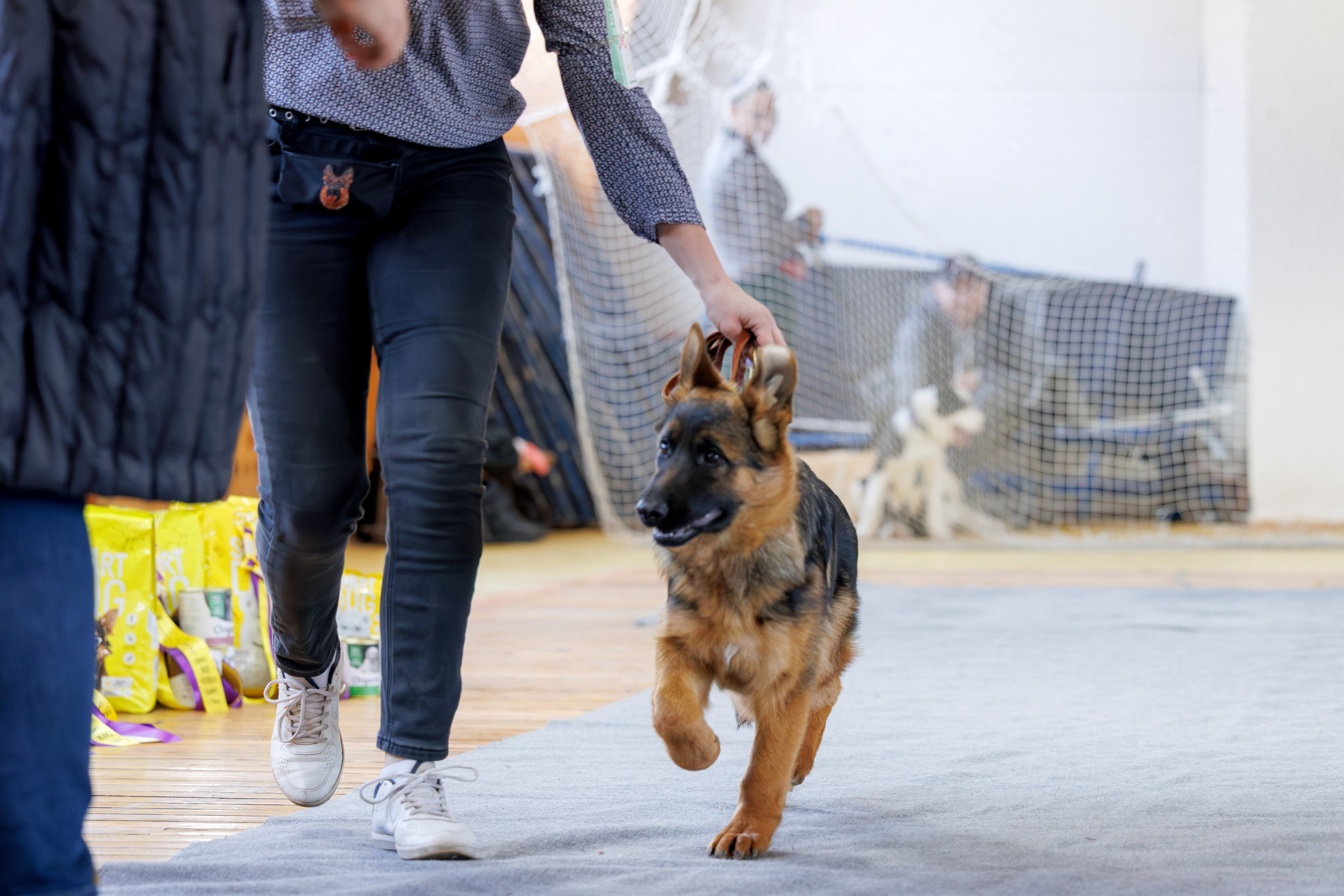Тверь 12.04,Сфера 13.04,Сергиев Посад 19.04.2025. Фотограф-анималист Юлия Германика