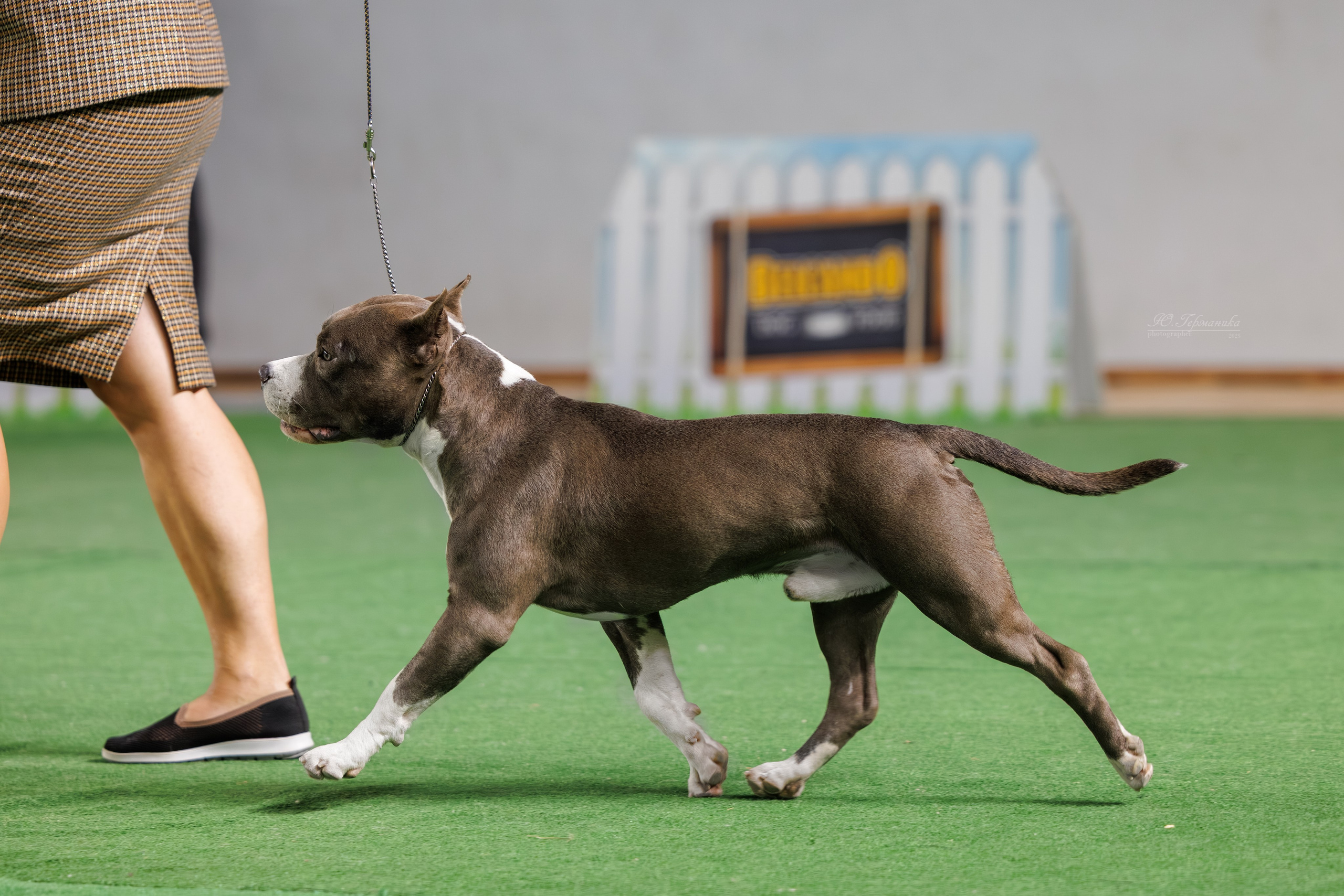 Телави 11-12.10.2025. Фотограф-анималист Юлия Германика