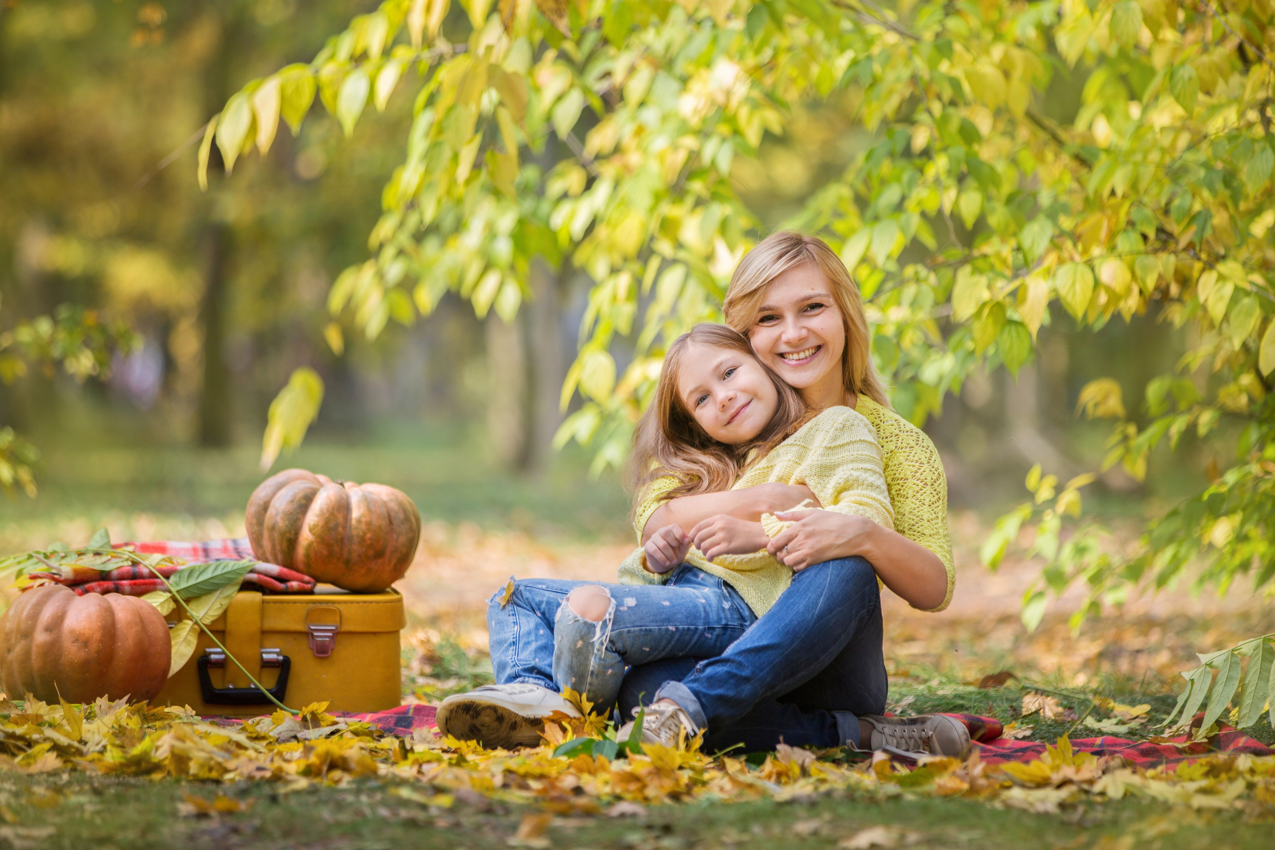 Щенки Сенбернары. Октябрь. Свадебный семейный и детский фотограф в Краснодаре Карина Федоровская
