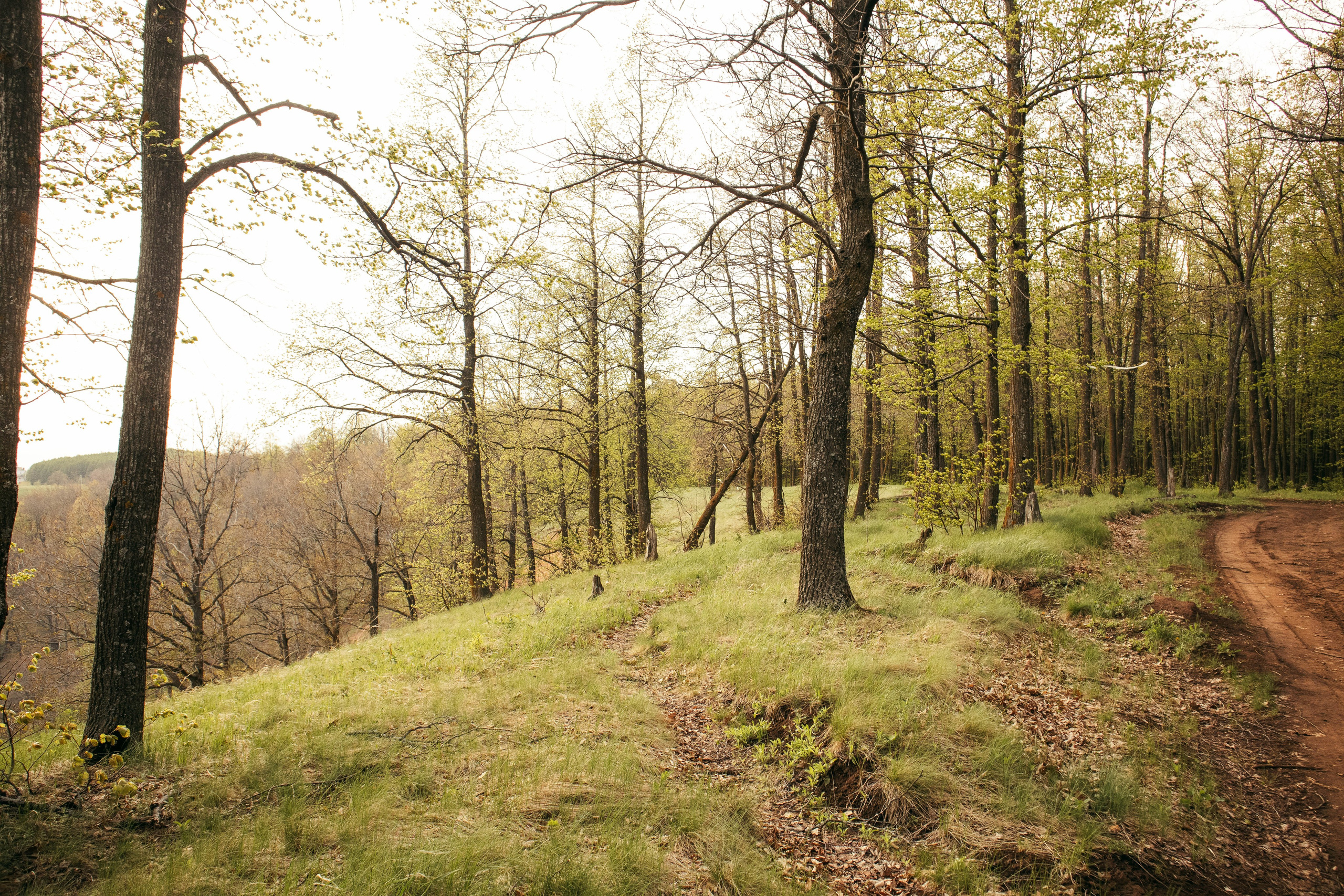 Сокольская гора. Фотограф и видеограф в Бугульме Аня Трутнева