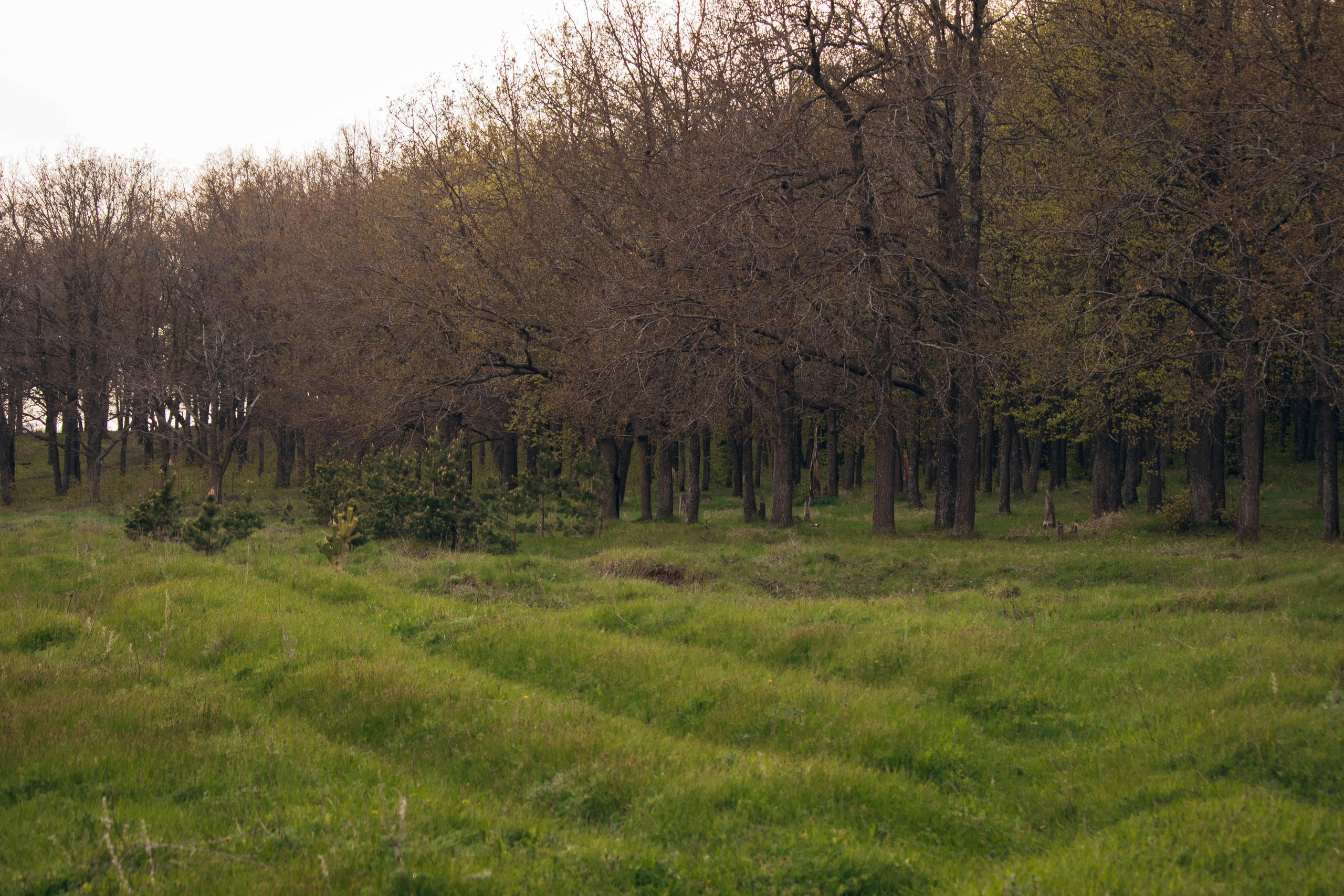 Сокольская гора. Фотограф и видеограф в Бугульме Аня Трутнева