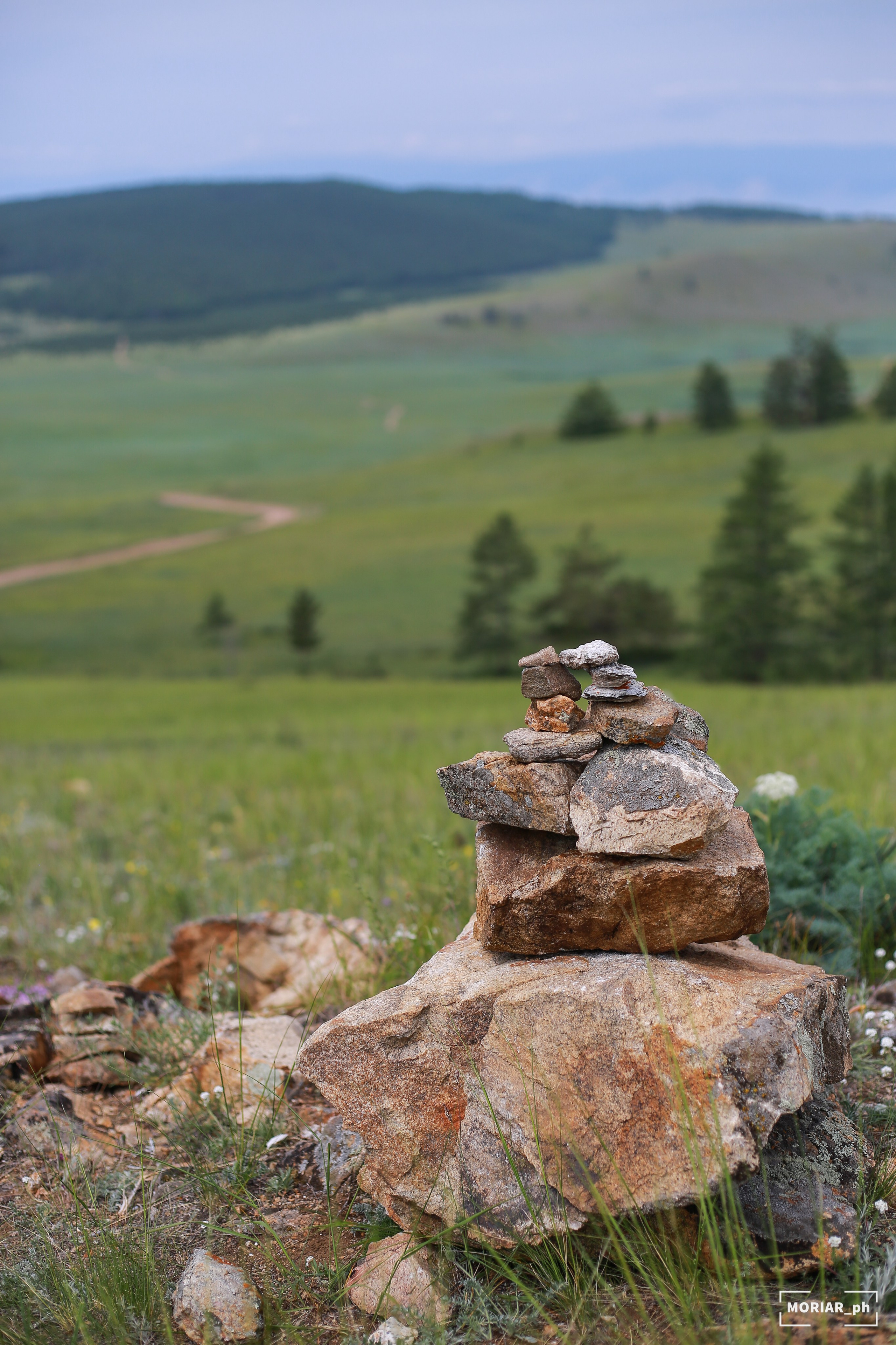 Отпуск. Портретный и репортажный фотограф в Кемерово Алексеева Анастасия