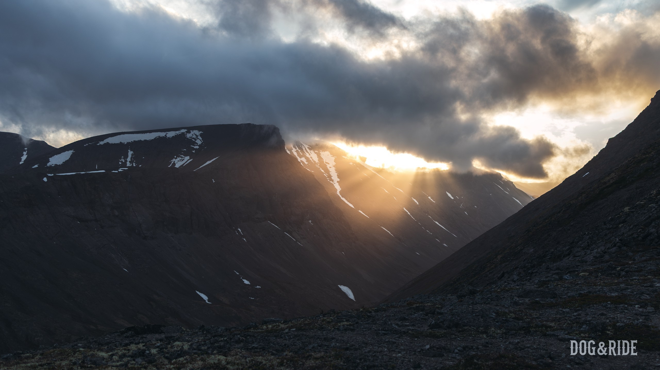 Хибины. Фотограф анималист Никита Натальный