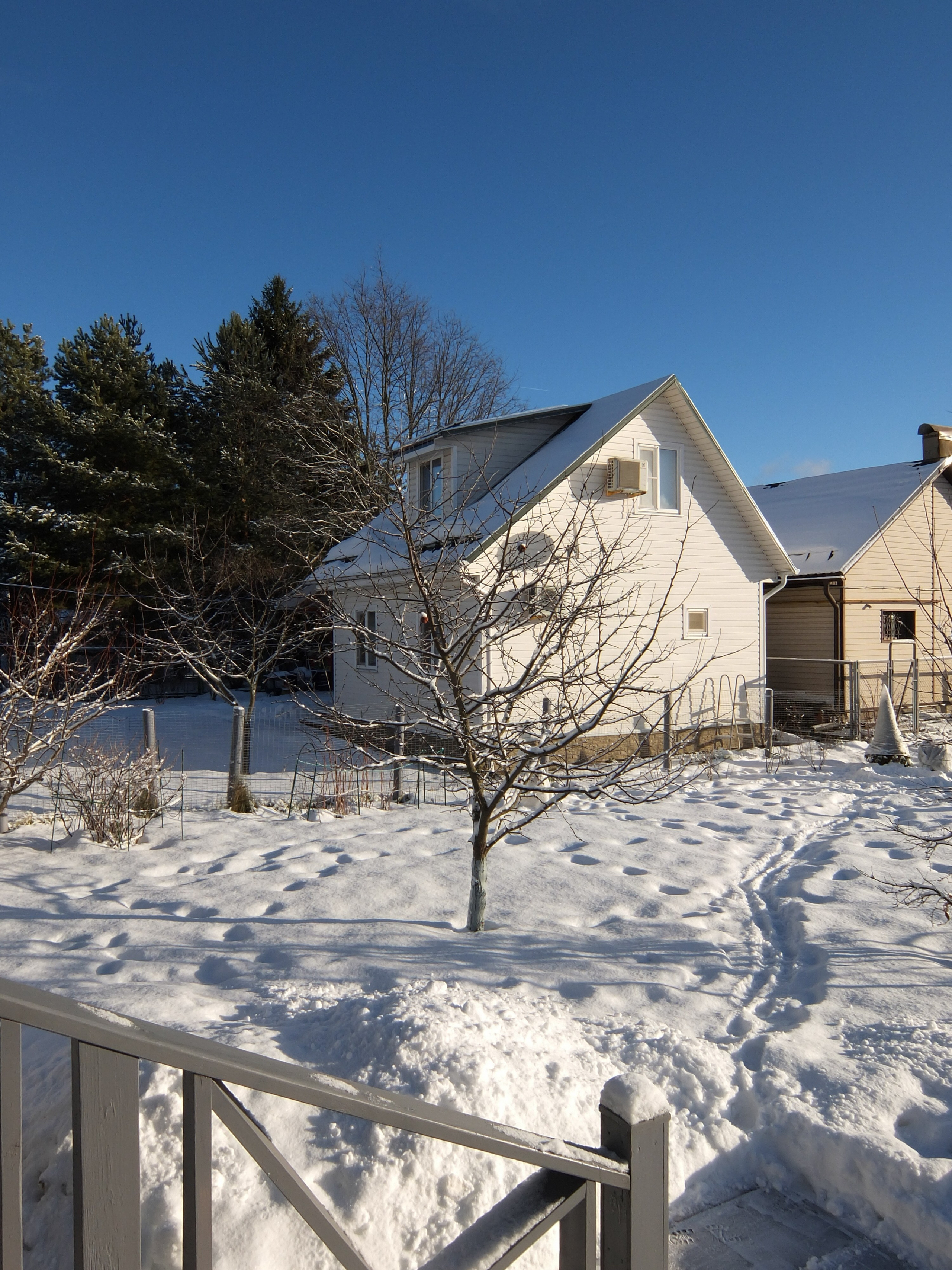 Солнечный день Нового Года. Фотограф-документалист Мария Осокина