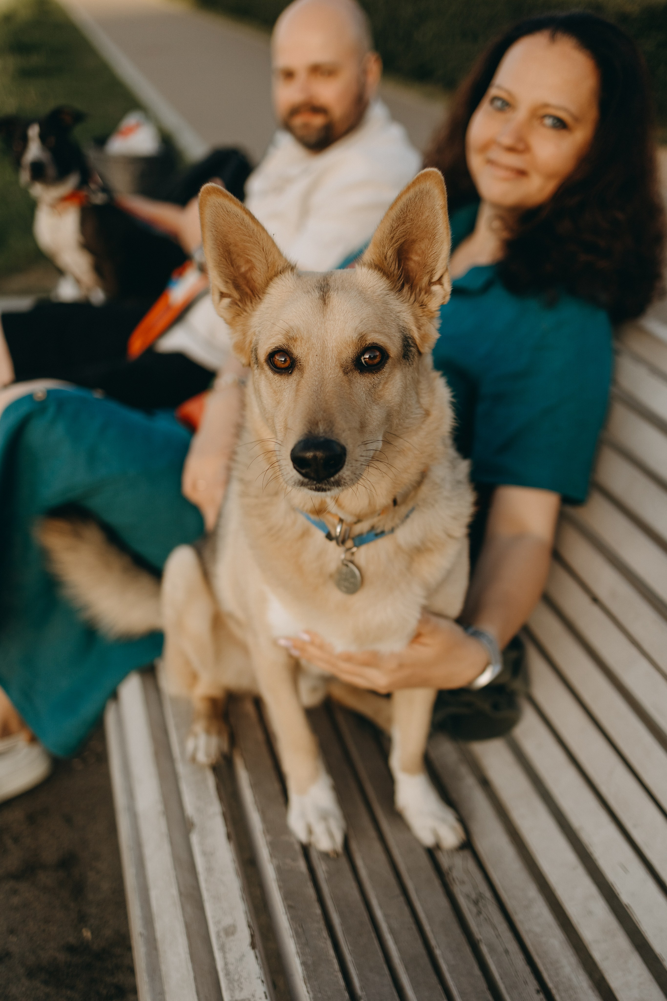 Татьяна, Сергей и их Булочка и Пончик. Фотограф — Анималист | Санкт-Петербург