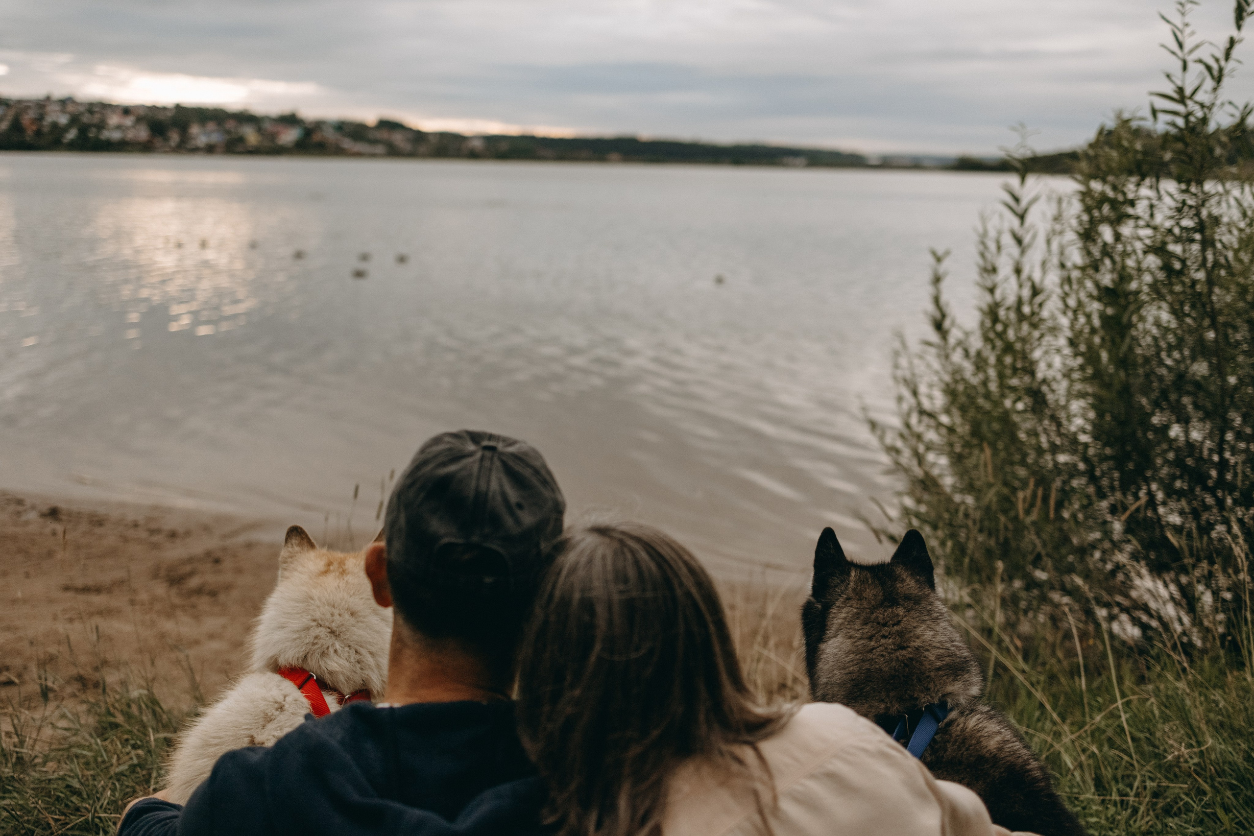 Дом у реки. Фотограф — Анималист | Санкт-Петербург