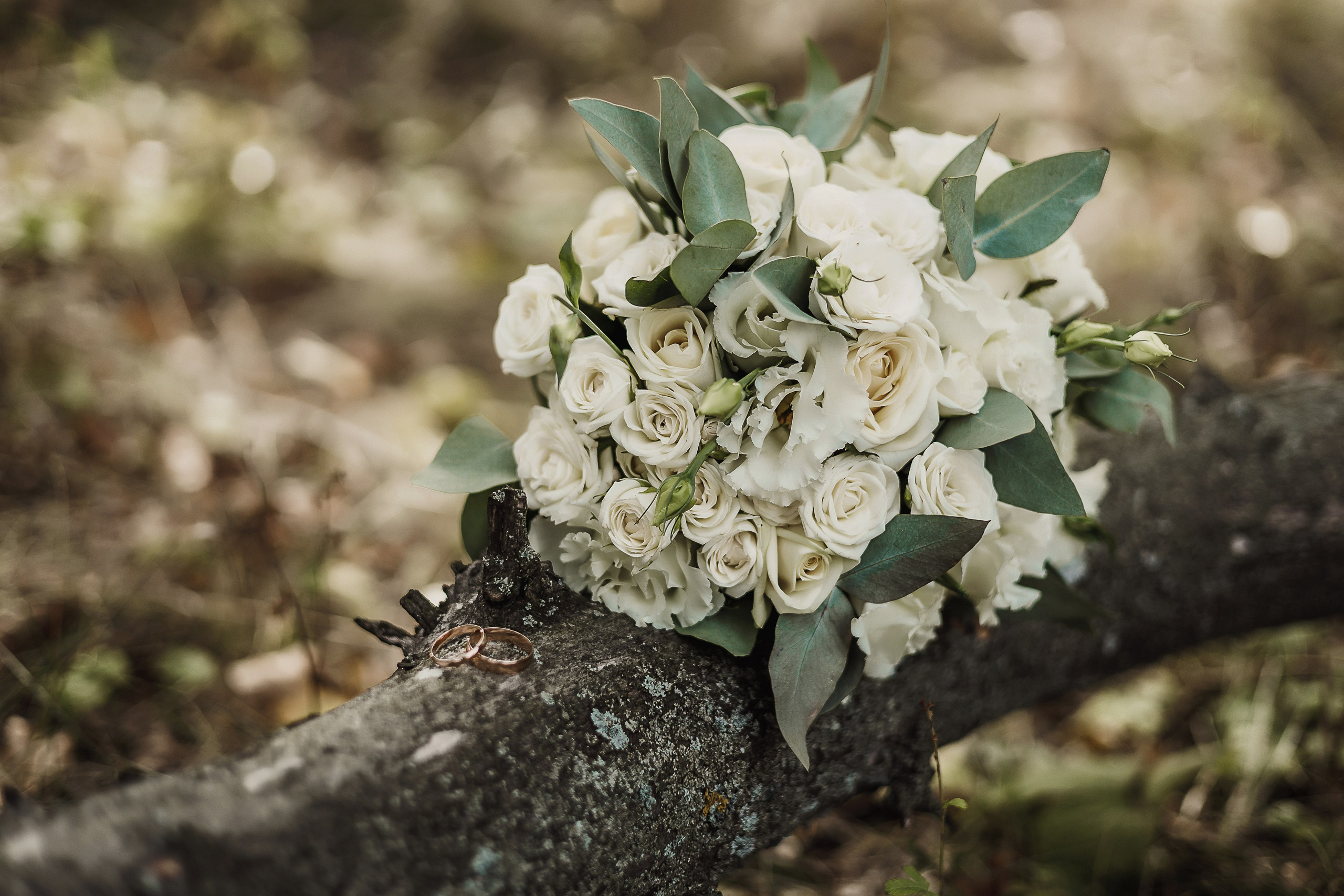 Александр и Ксения. Свадебный и семейный фотограф Дарья Осипова (Никитина). Саратов