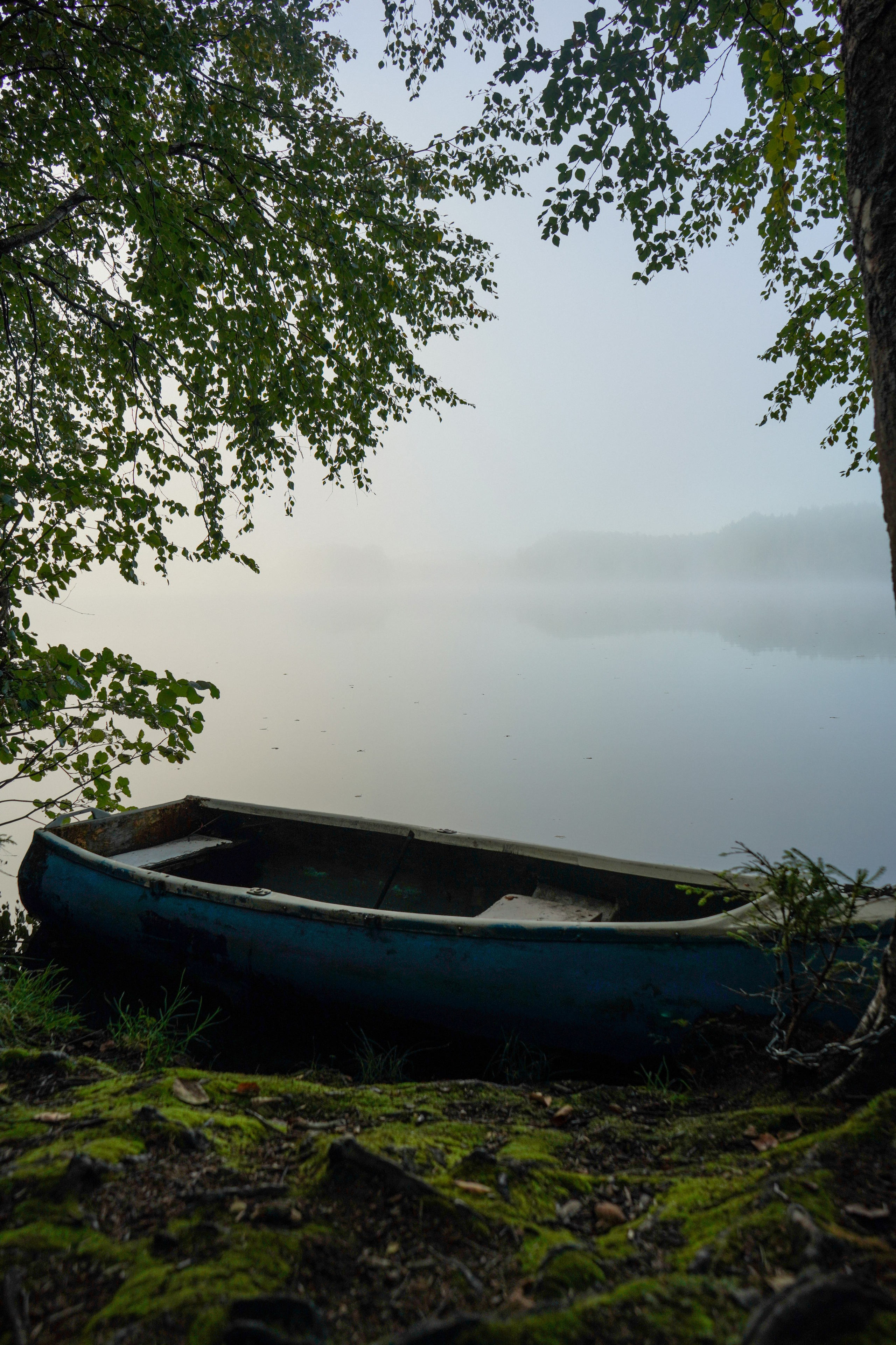 Разное. Фотограф в Санкт-Петербурге Виктория Барышникова
