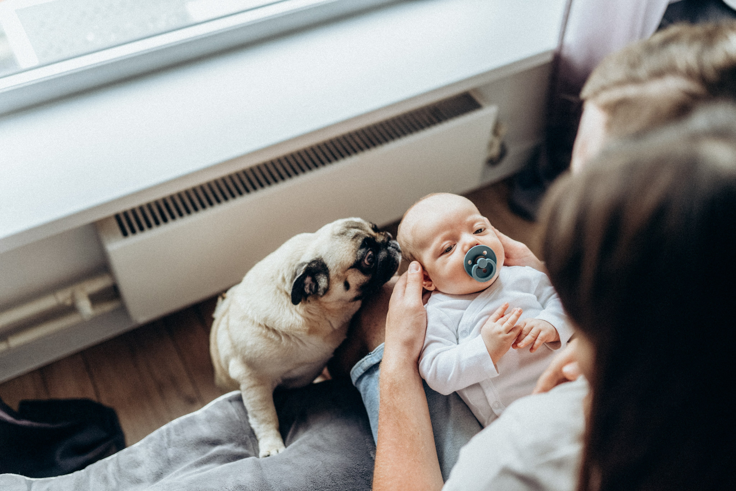 Малыш Федор. Фотограф новорожденных малышей Одинцово/Москва Юлия Скок