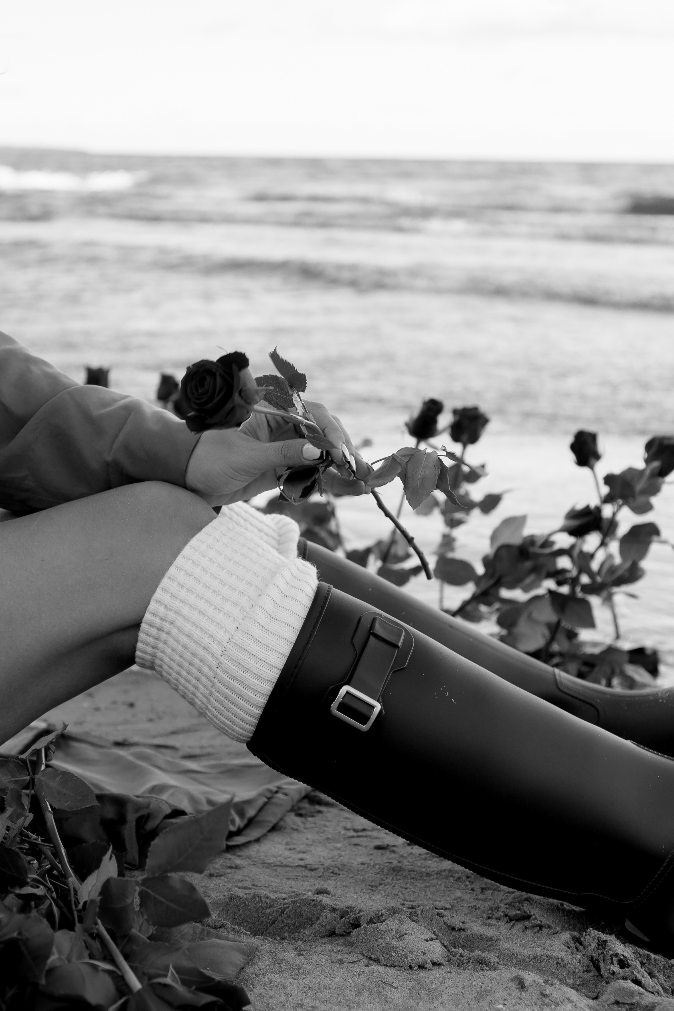 Розы. Профессиональный фотограф, Санкт-Петербург — Виктория Богомолова