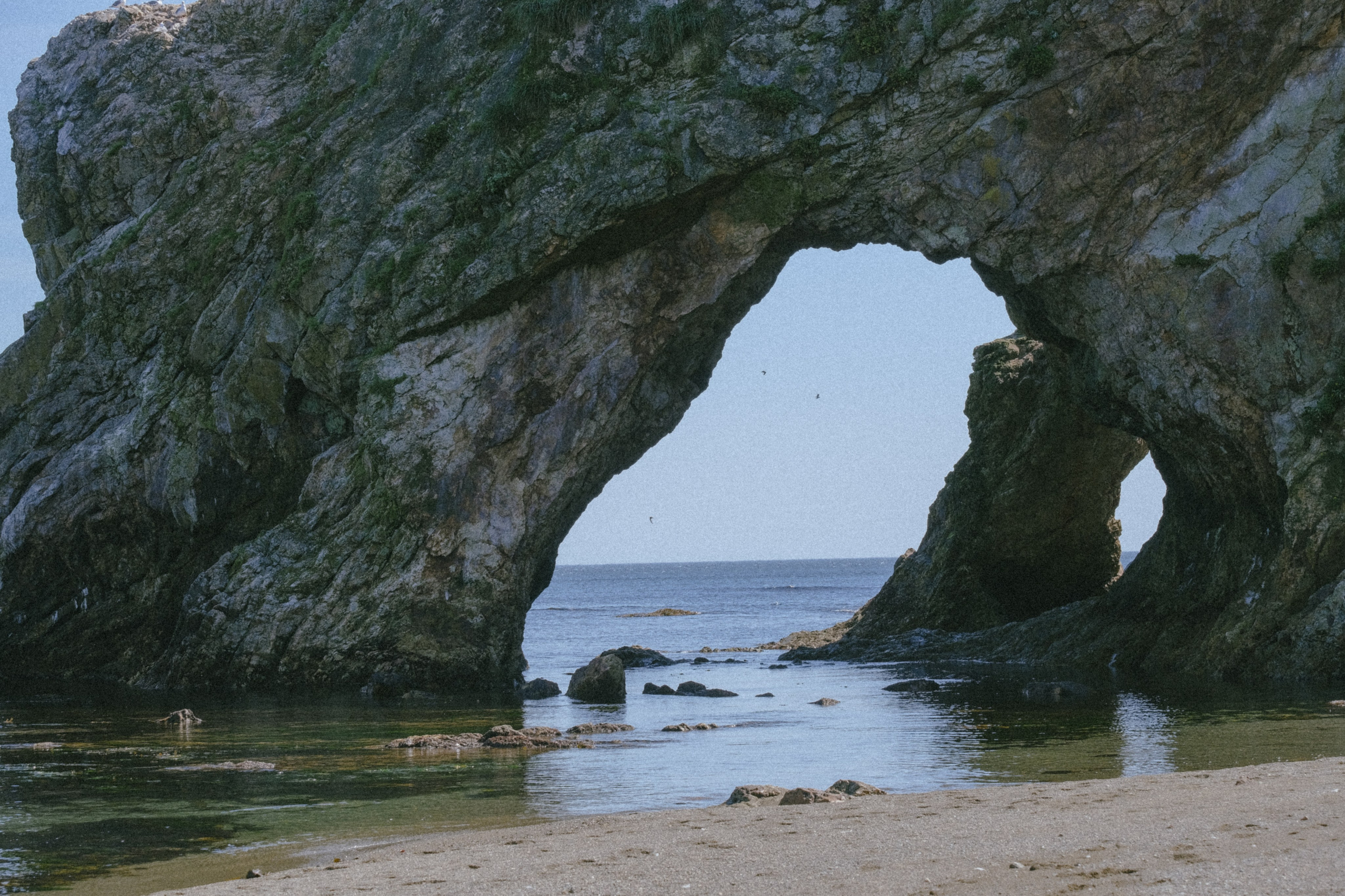 САХАЛИН. Профессиональный фотограф, Санкт-Петербург — Виктория Богомолова