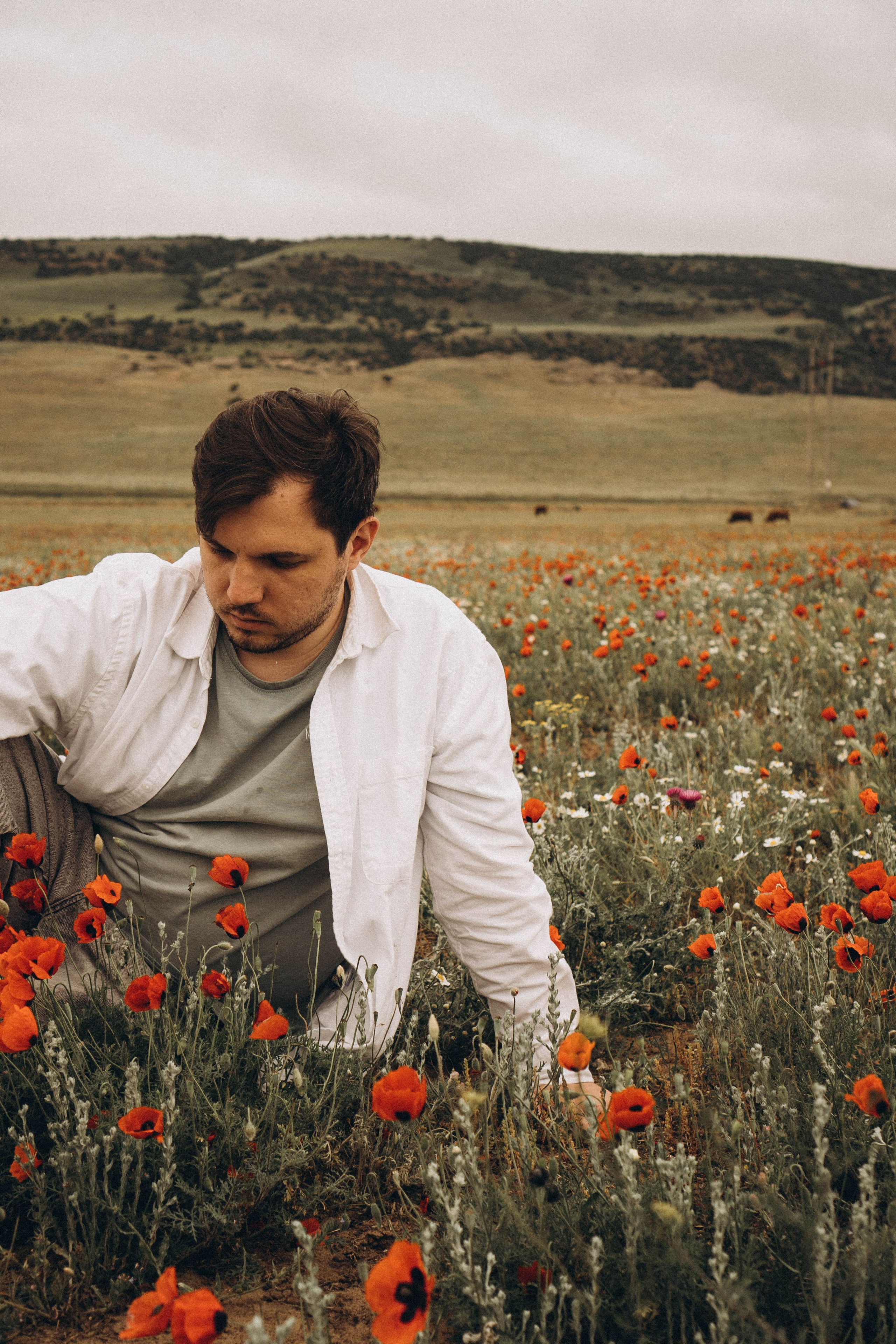 Маки. Профессиональный фотограф, Санкт-Петербург — Виктория Богомолова