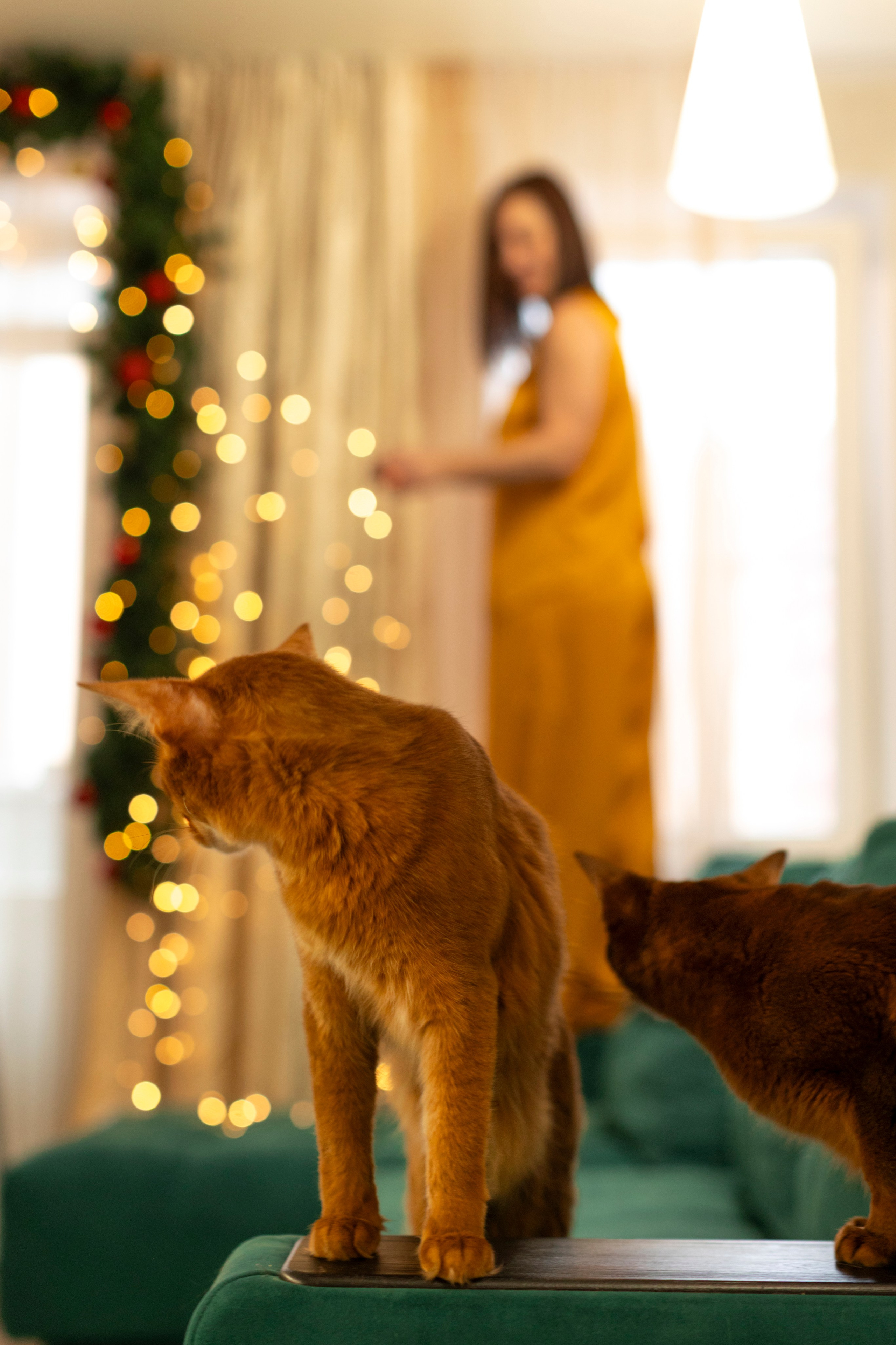 Сомали. Art my Pho