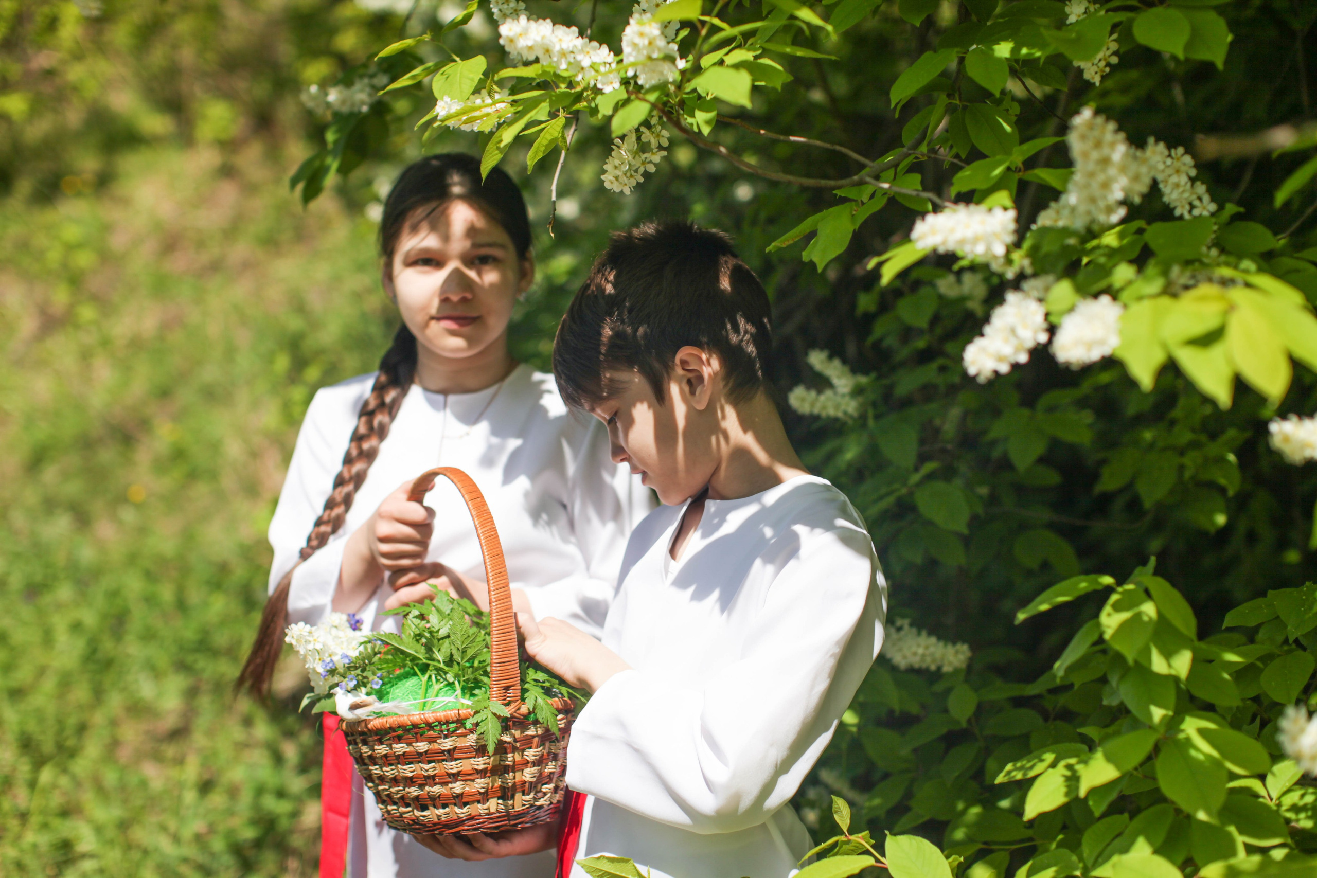 Летний день. Art my Pho