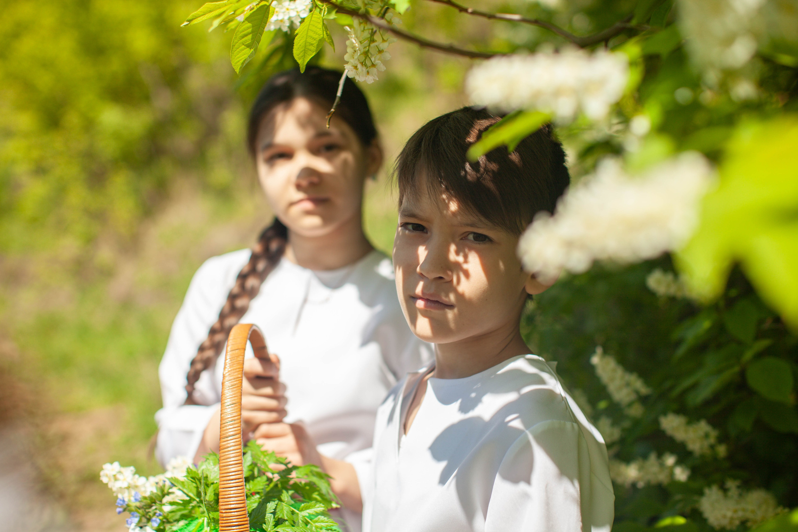 Летний день. Art my Pho