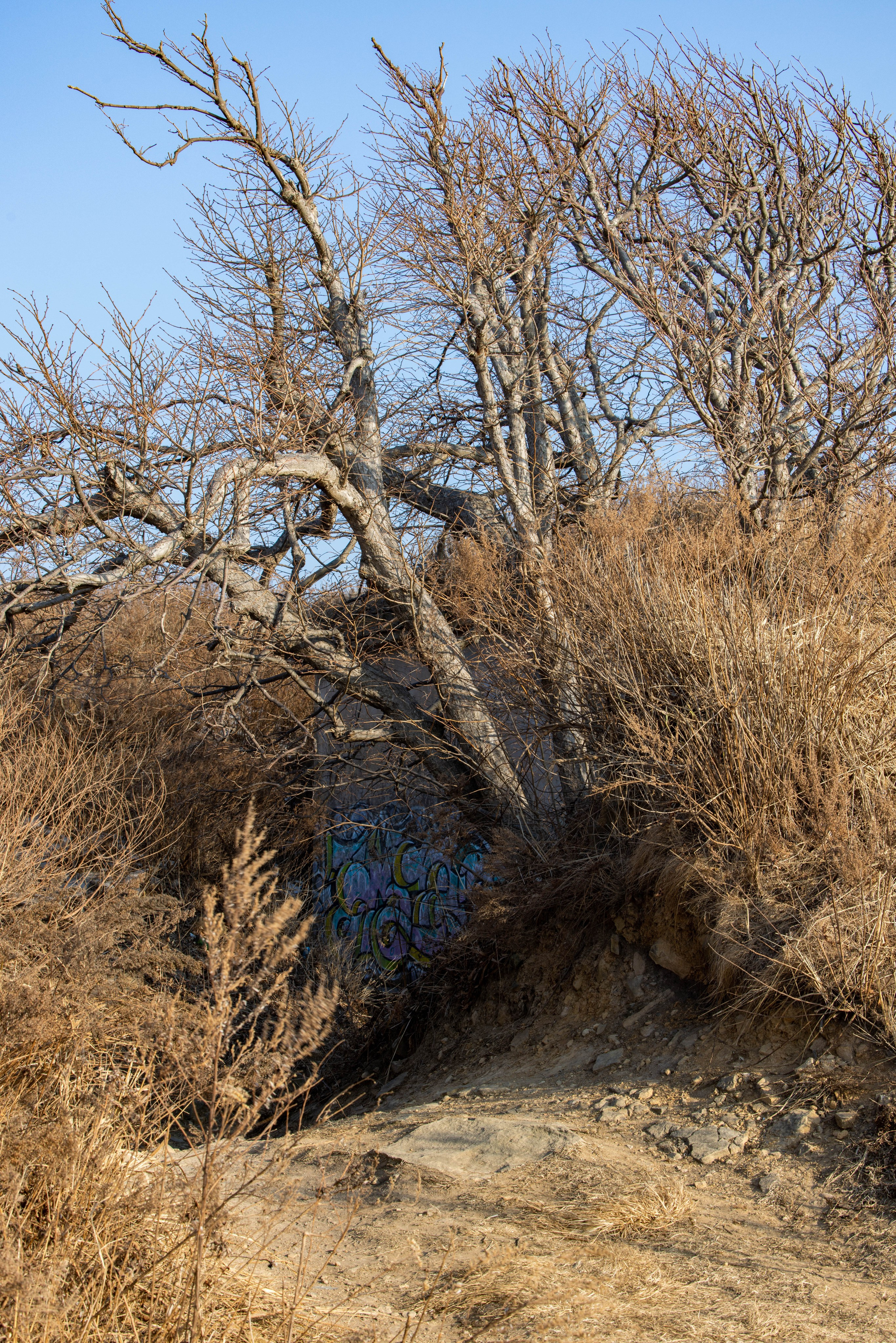 Мыс Вятлина. Турист оптимист