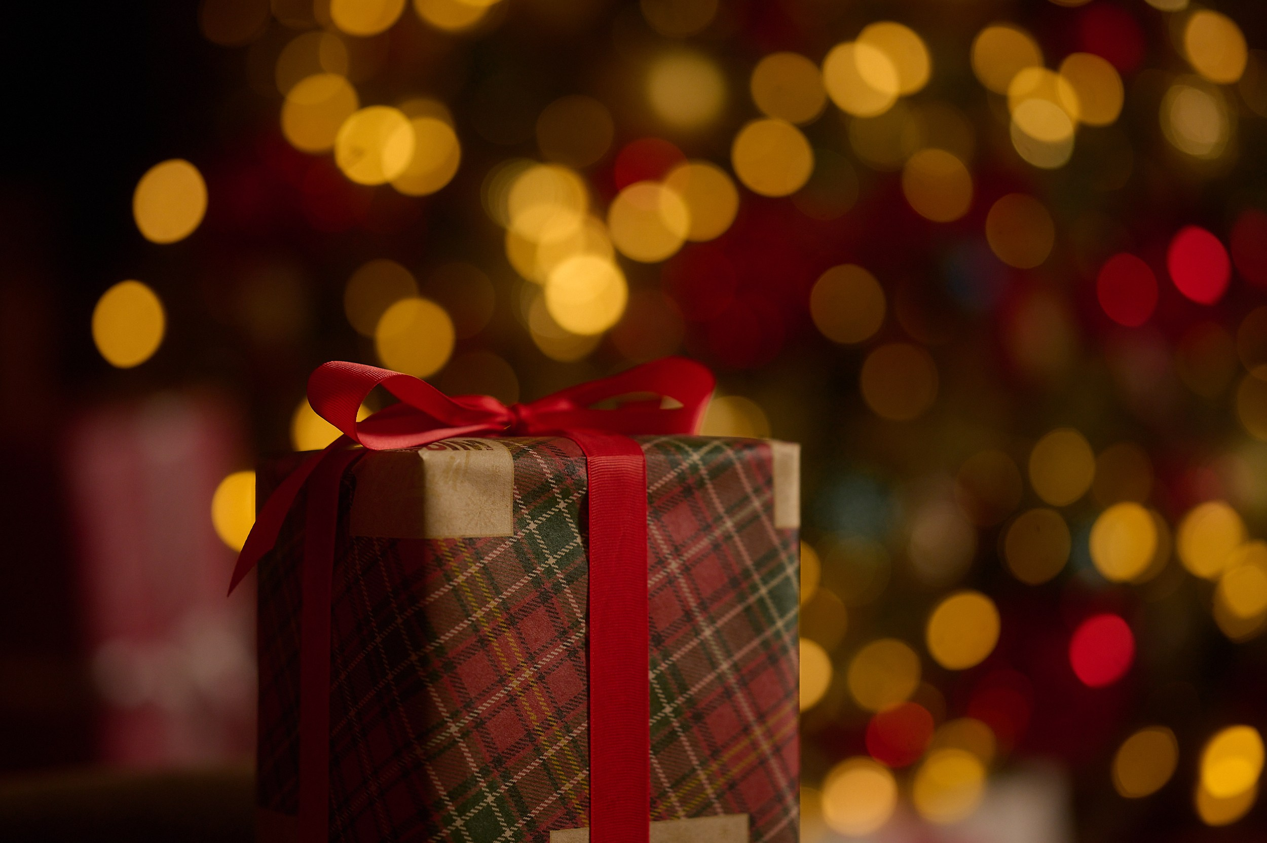 Фотостудия «Леона» зал Библиотека. Свадебный фотограф в Ростове Александра Груздева