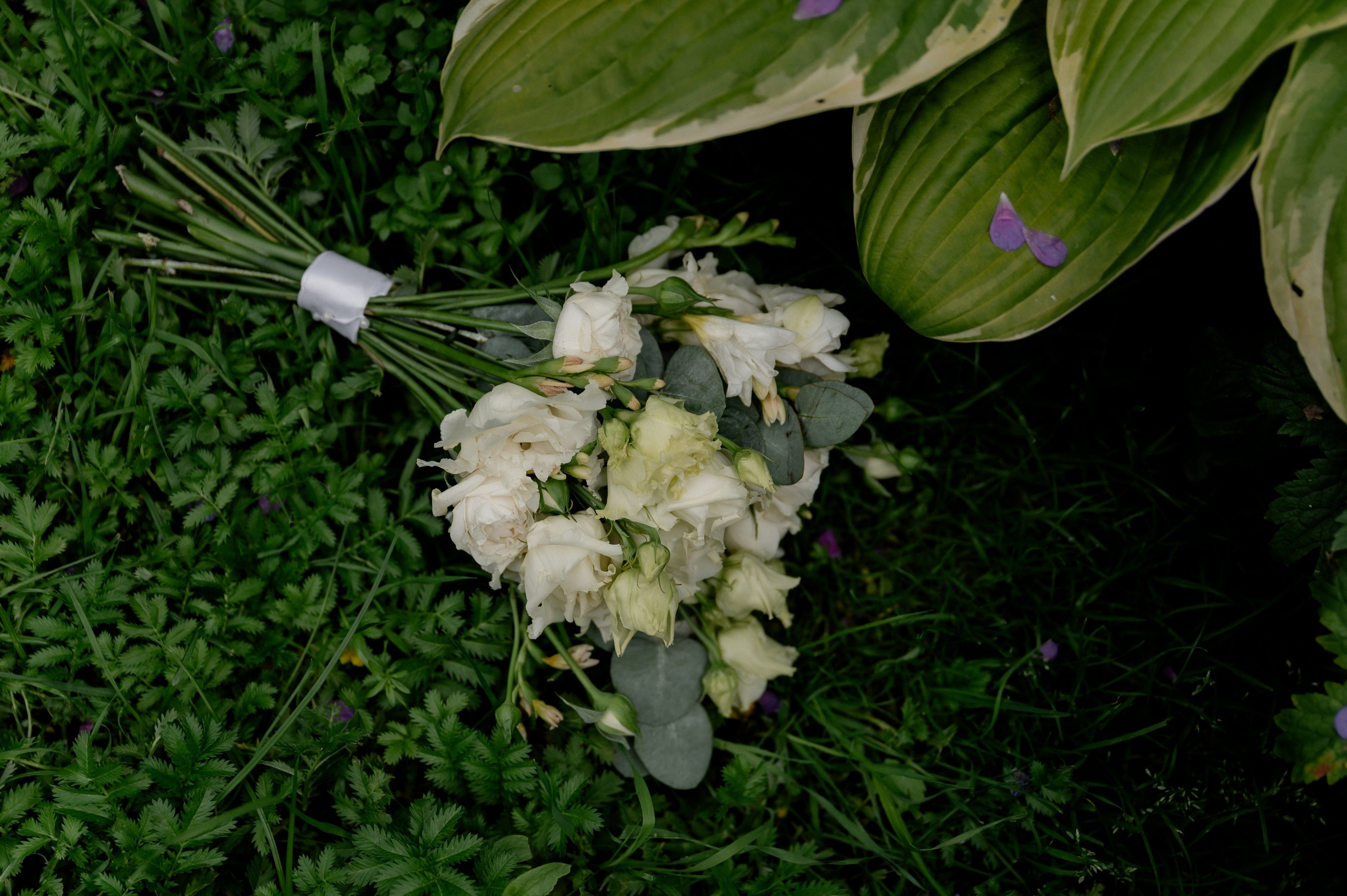 Никита и Александра. Фотограф Анна Пятак