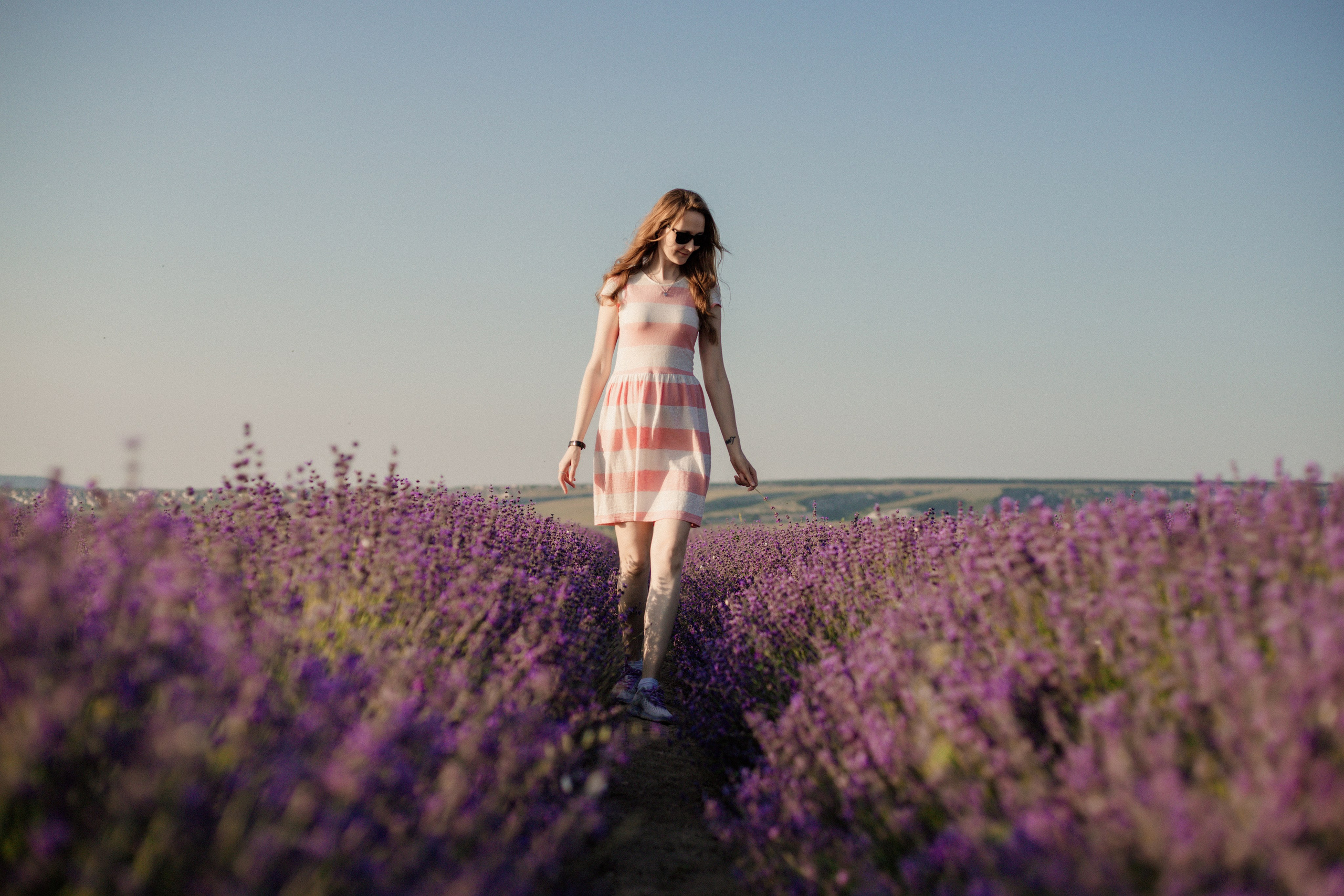 Лаванда. Фотограф и Видеограф Севастополь Крым