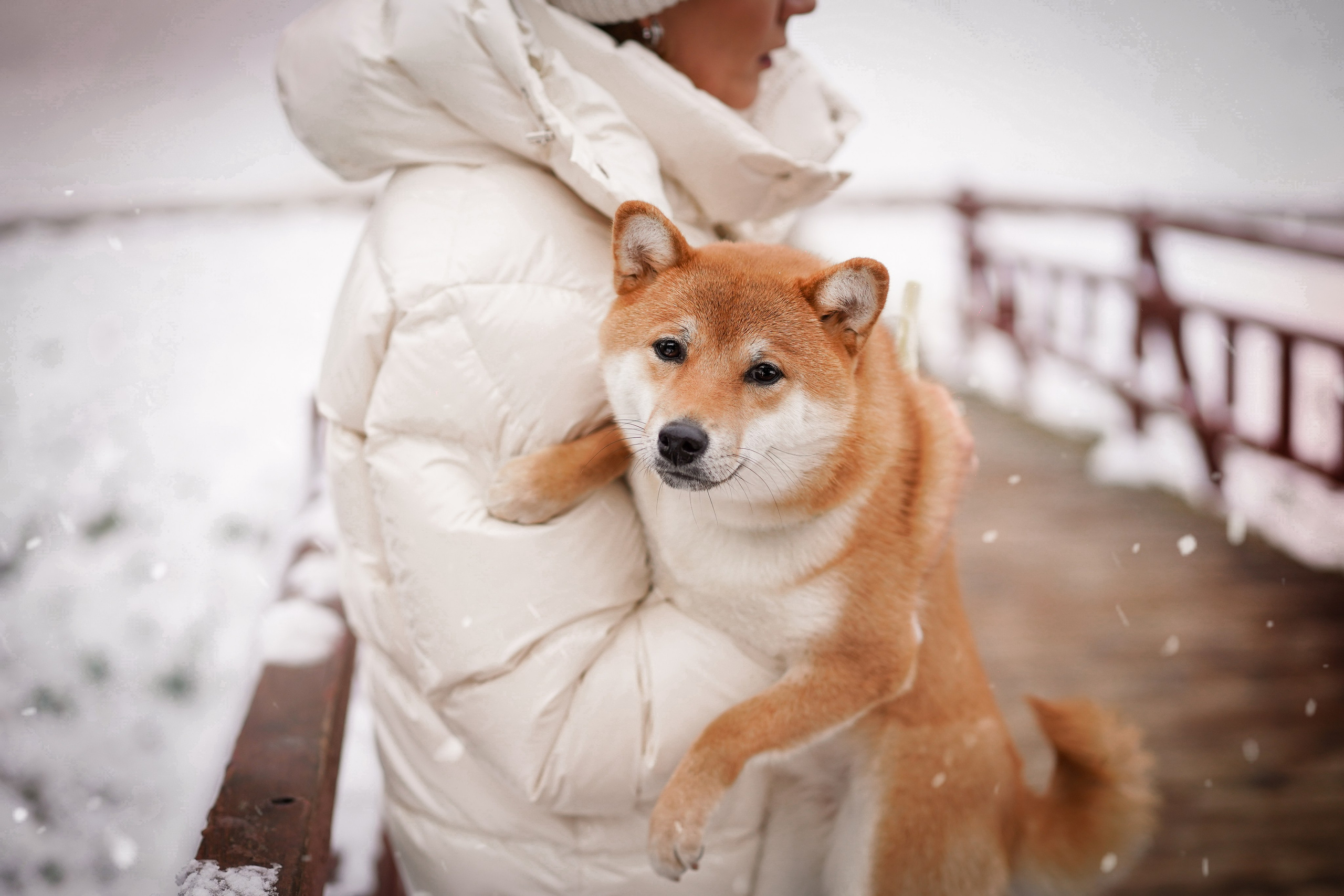 Алина и Юми. Фотограф-анималист в Санкт-Петербурге Яна Мартынова