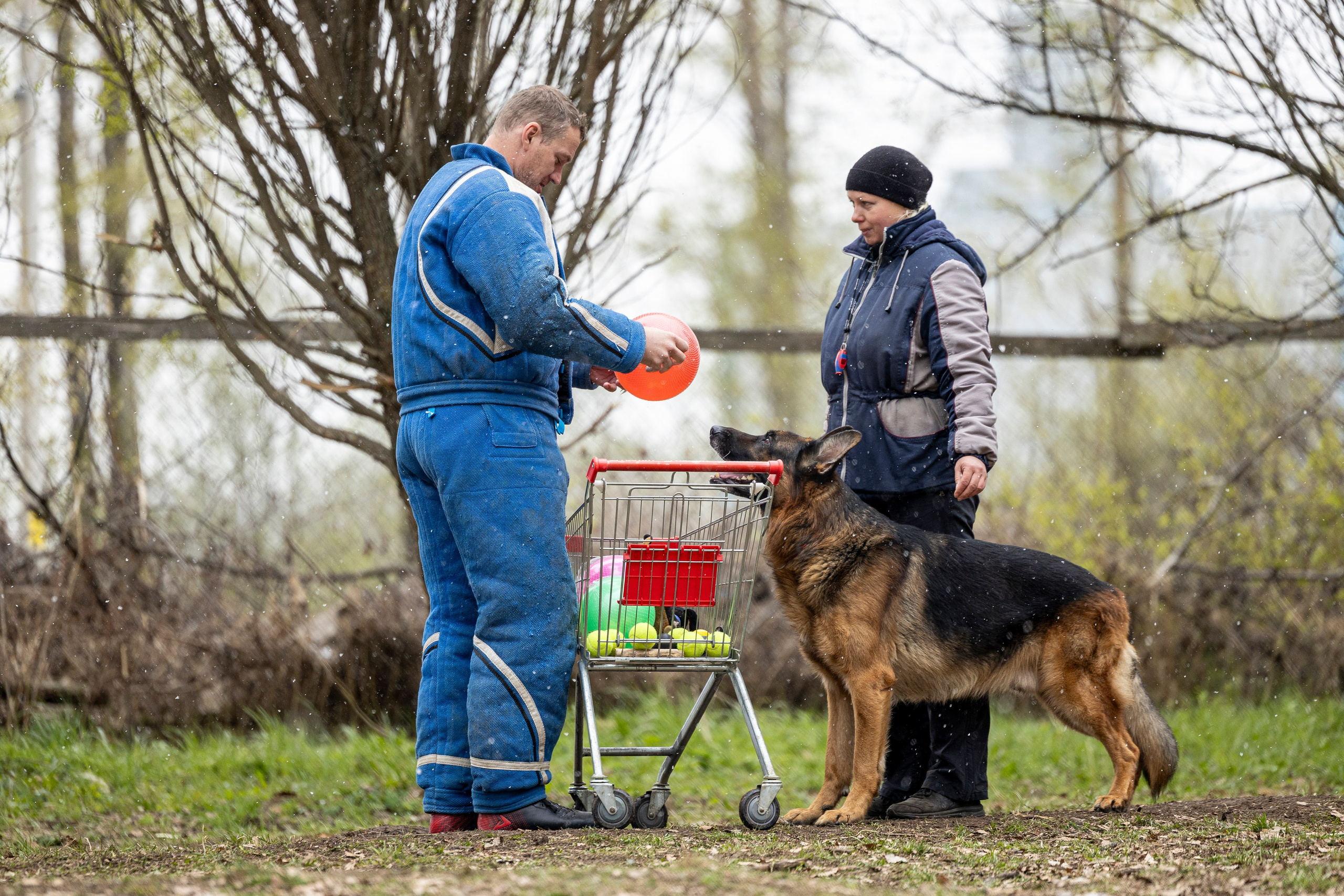 Квалификационные состязания по мондьорингу г. Вологда 11.05.24. Фотограф-анималист Анна Маринич