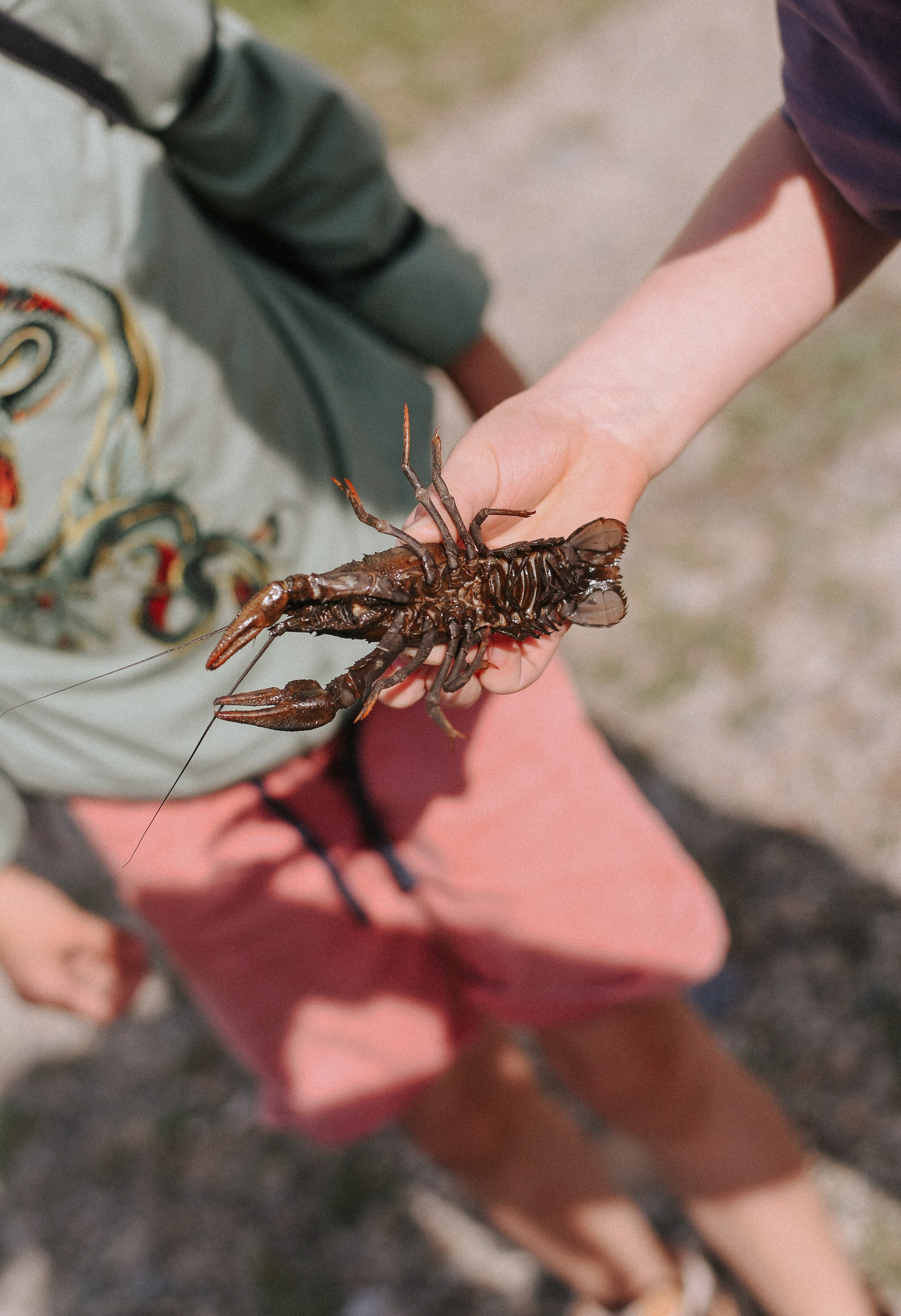 Берег, рак и капибара. Детский и семейный фотограф в Новосибирске Саша Дорошенко