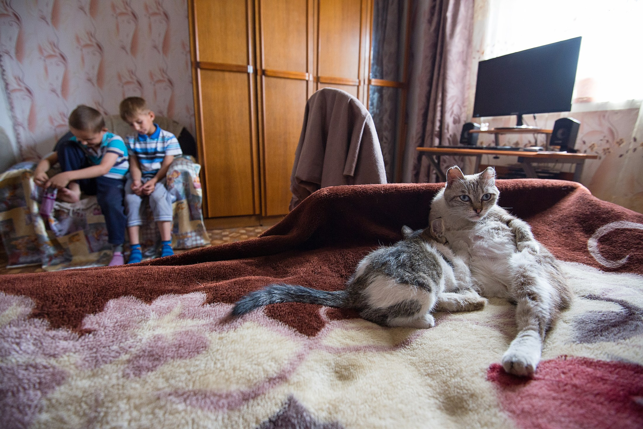 Для СМИ. Фотограф в Калининграде Сулейманов Амирхан